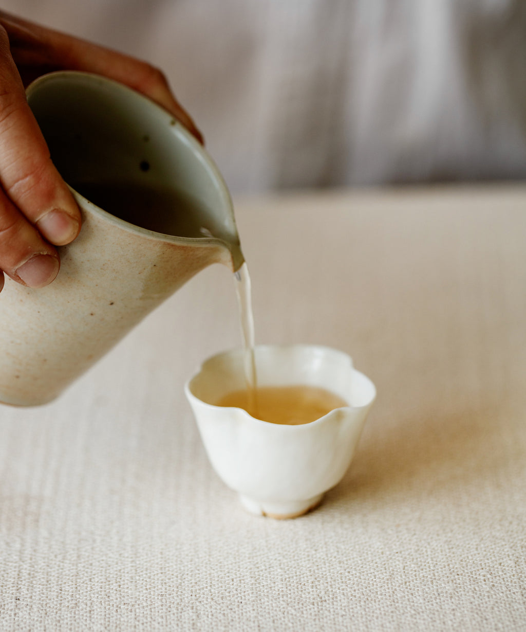 Brewed Silver Needle & Tea Blossoms showing pale yellow liquor with floral notes