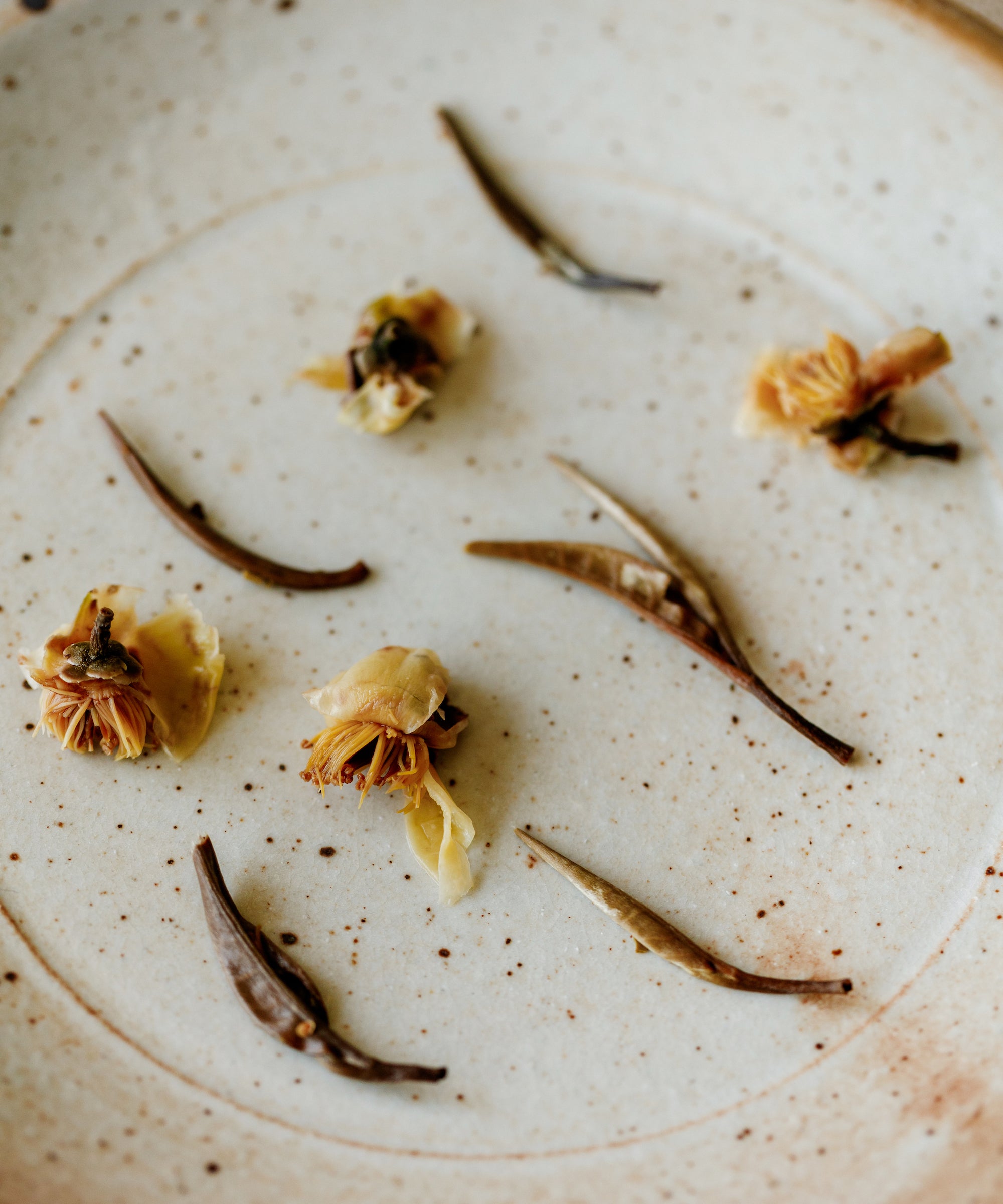 Wet Silver Needle & Tea Blossoms after brewing showing expanded buds and tea blossoms