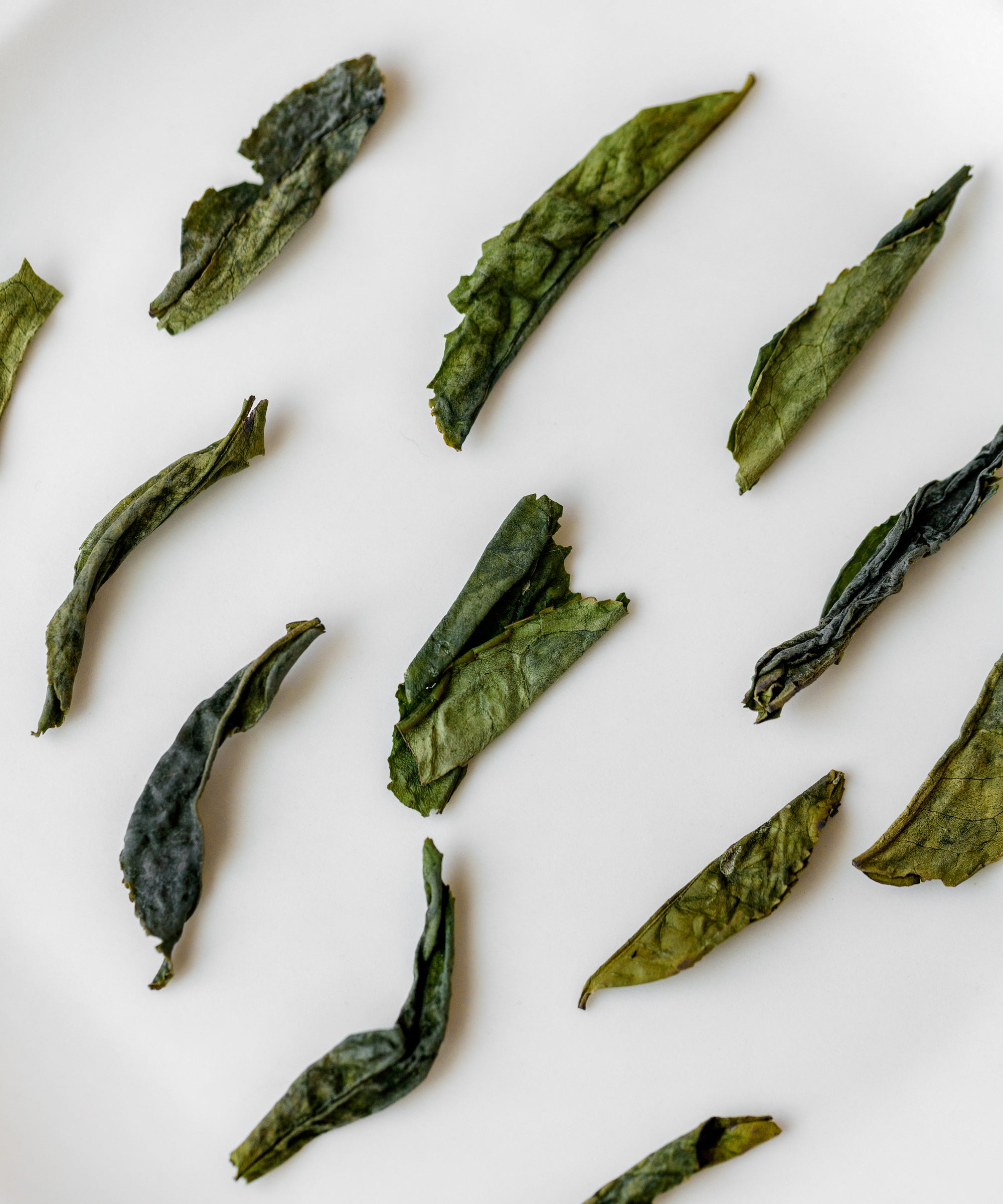 Melon Flake broad flattened tea leaves, traditional Lu'an Guapian from Qitoushan, Lu'an, Anhui