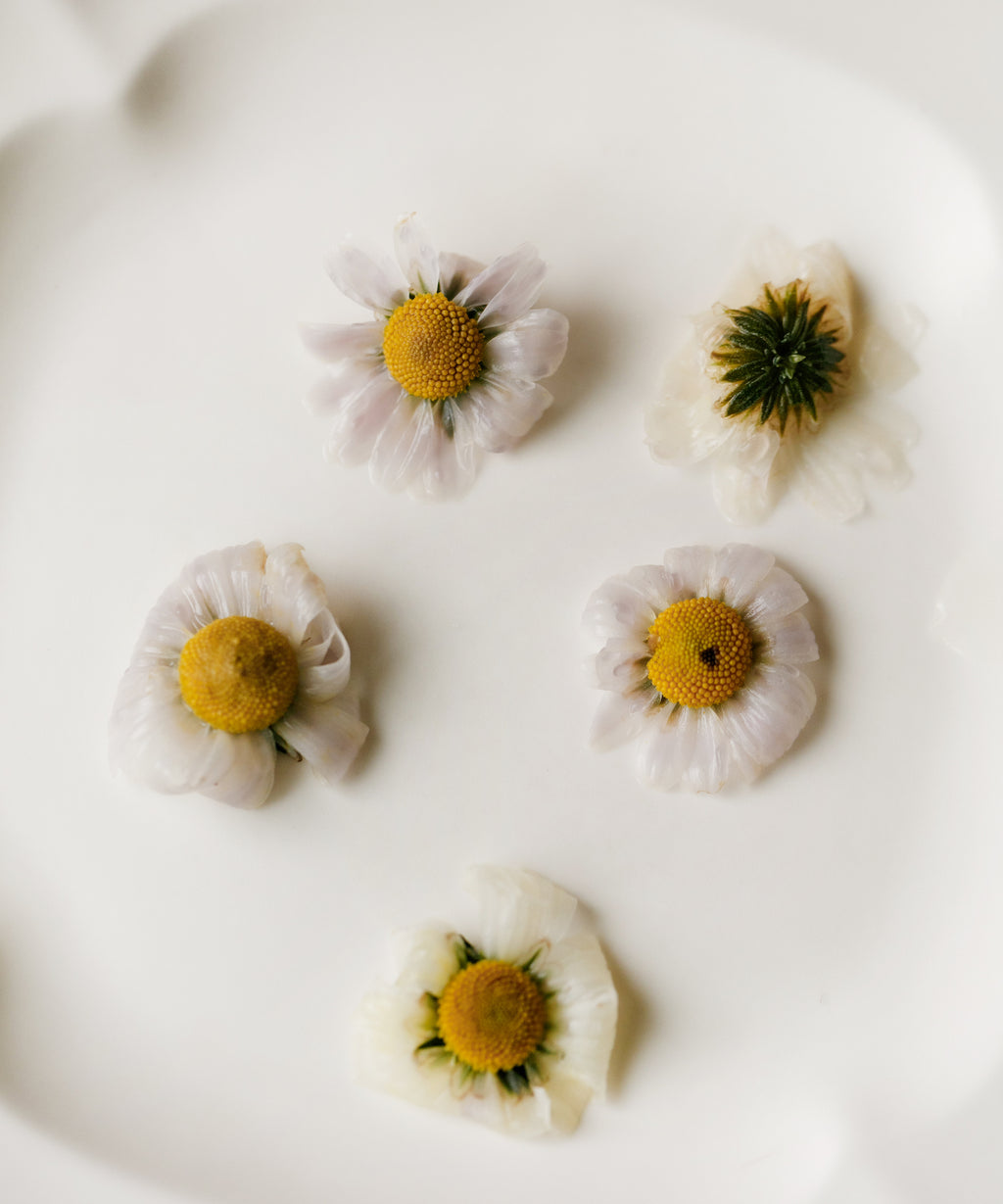 Wild Purple Chrysanthemum, wild-growing flower tea from Hangzhou, Zhejiang, with fresh menthol and herbaceous notes