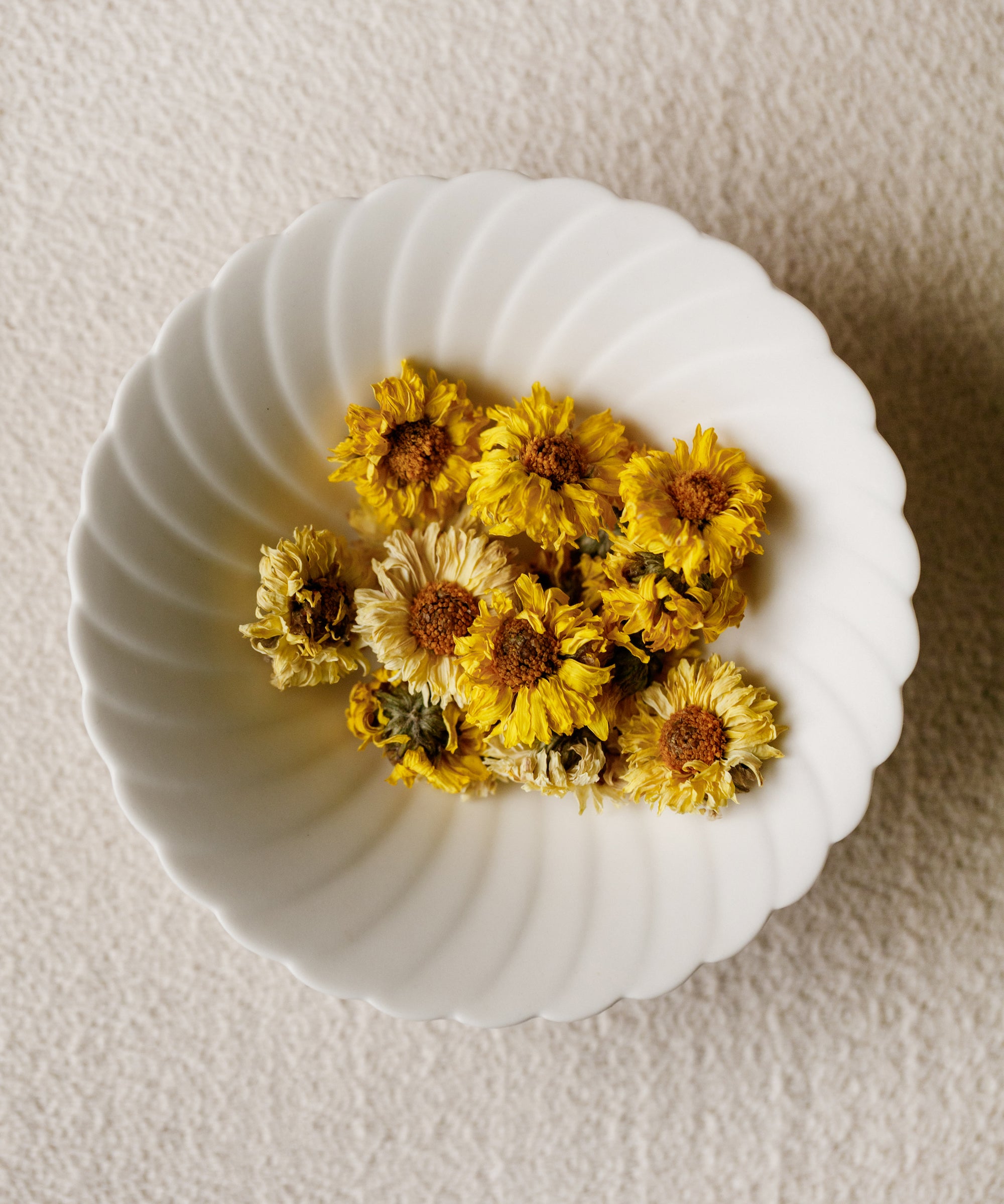 Yellow Pearl Chrysanthemum