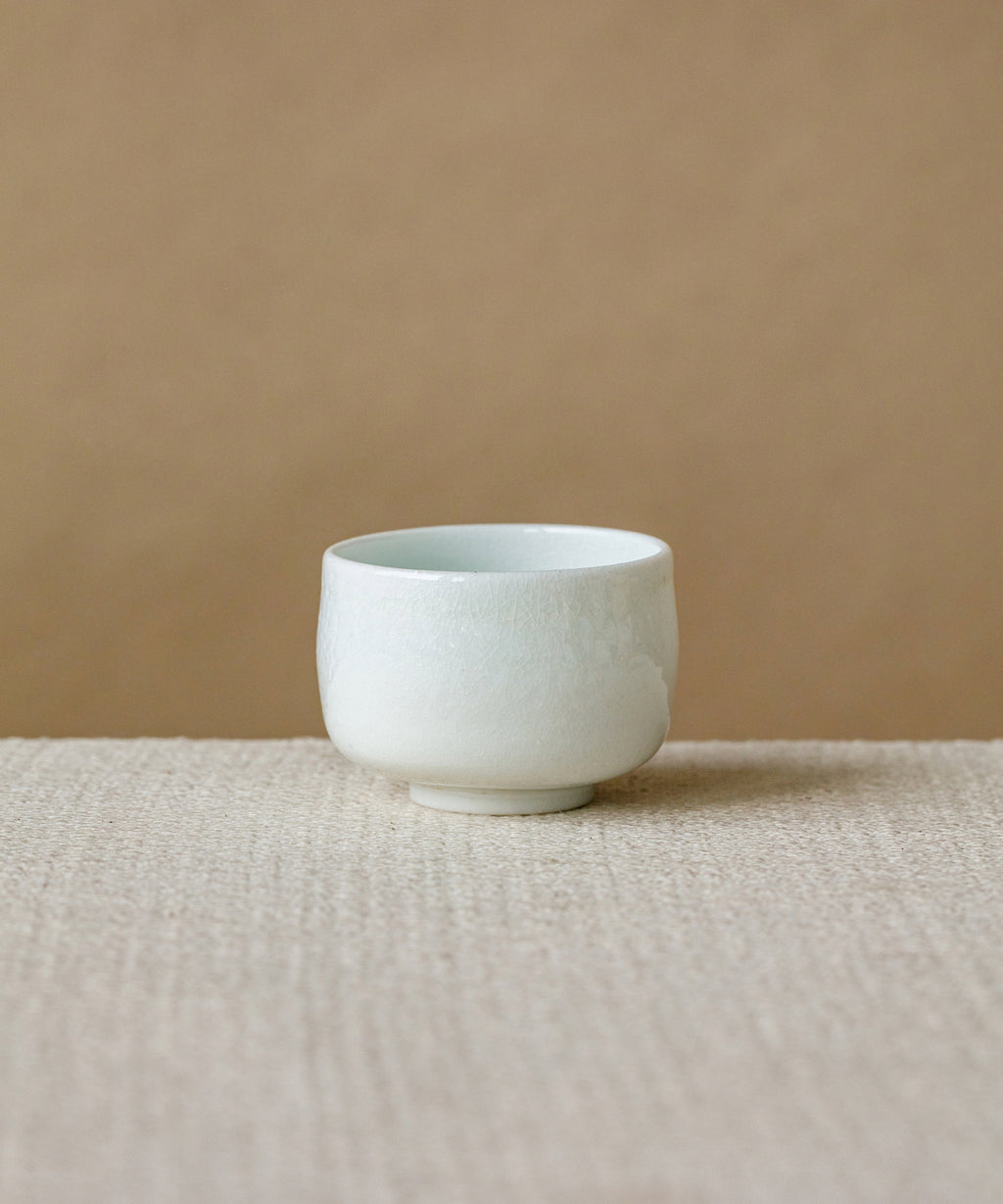 Arctic Celadon 08