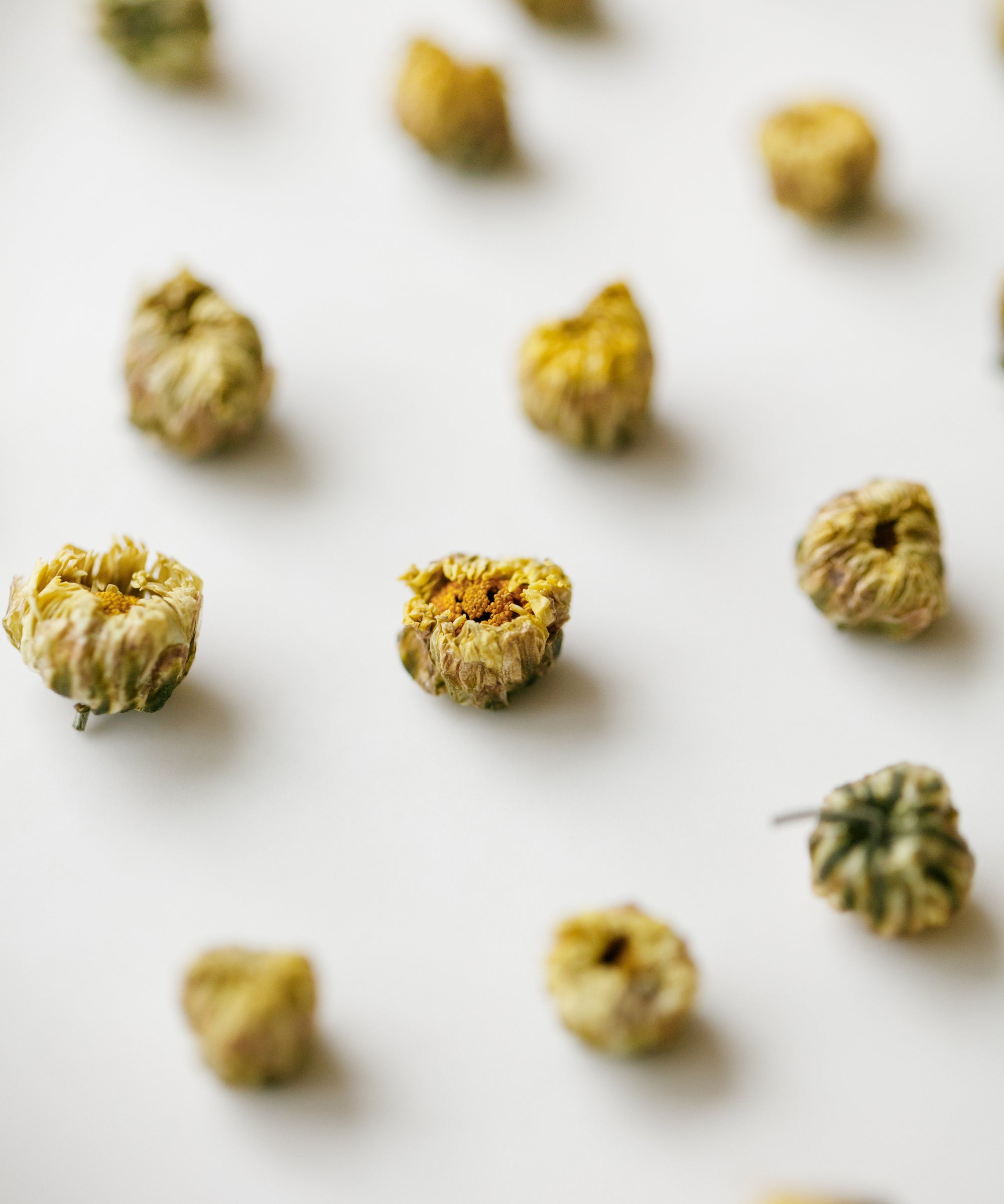 Silk Chrysanthemum Bud by Mei and Yu — Hangbai heritage flower tea from Tongxiang, Zhejiang