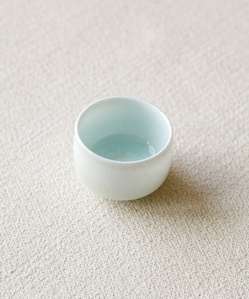 Arctic Celadon 08