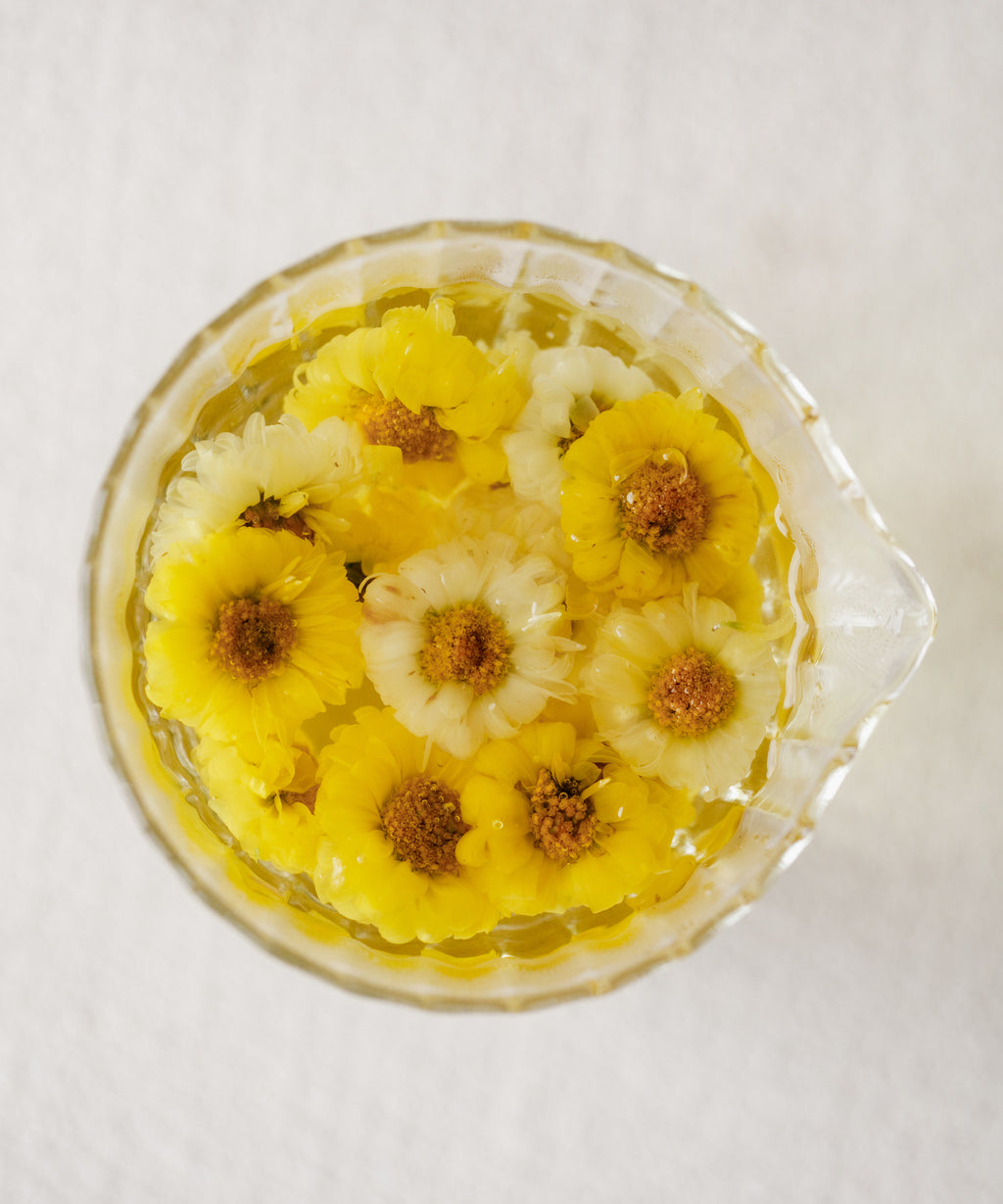 Brewing Yellow Pearl Chrysanthemum, compact dried flowers expanding in hot water, Jiaozuo, Henan