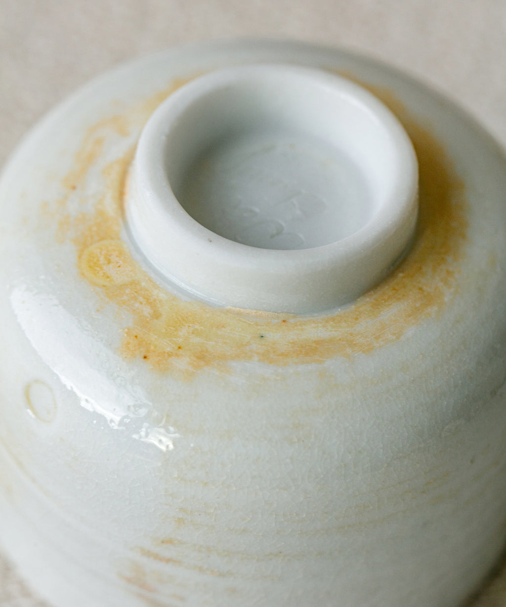 Arctic Celadon 09