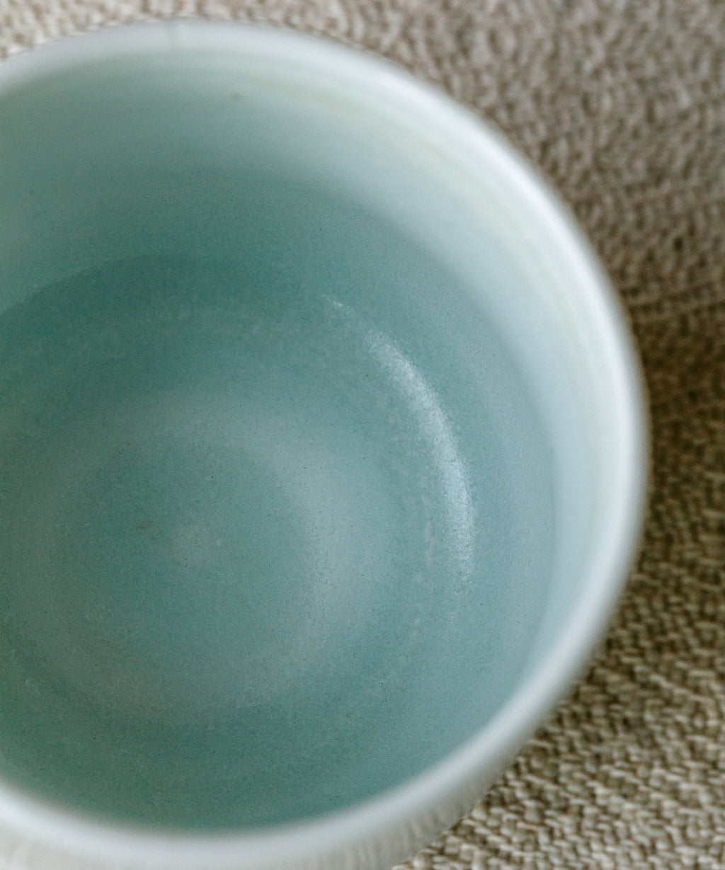 Arctic Celadon 10