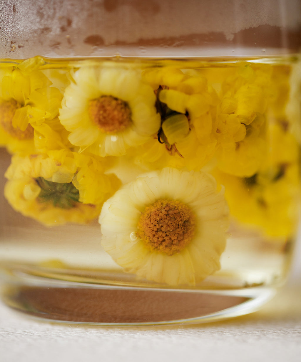 Yellow Pearl Chrysanthemum wet flowers after brewing, thin yellow petals expanding in water, Henan