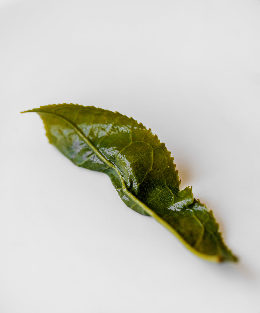 Melon Flake, Lu'an Guapian green tea from Qitoushan, Anhui, with vibrant green taste and toasted finish