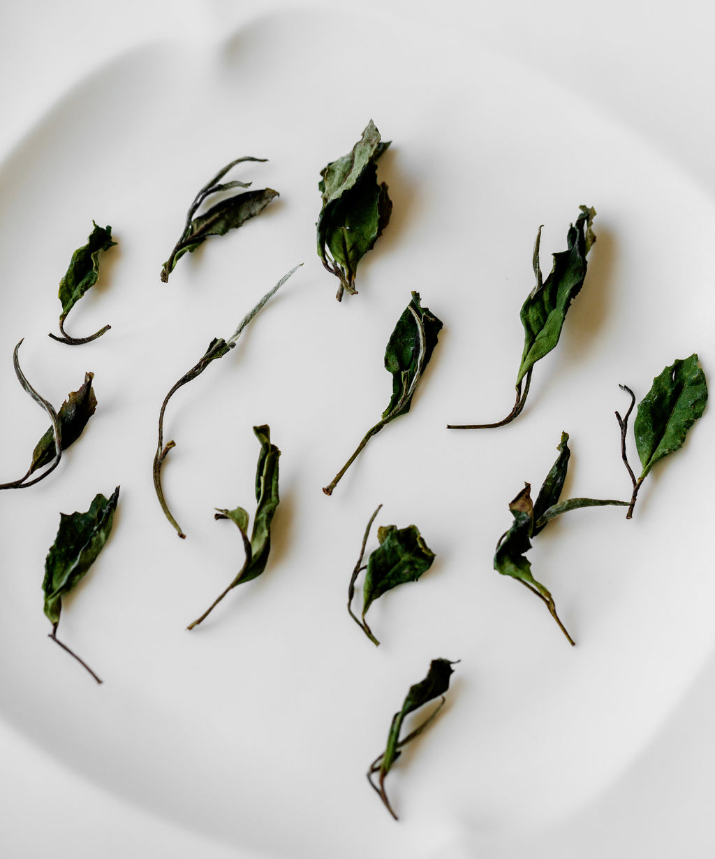 Ms. Qiong's Heritage White — heirloom white tea from indigenous old-growth trees, Fu'an, Fujian
