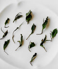 Ms. Qiong's Heritage White — heirloom white tea from indigenous old-growth trees, Fu'an, Fujian