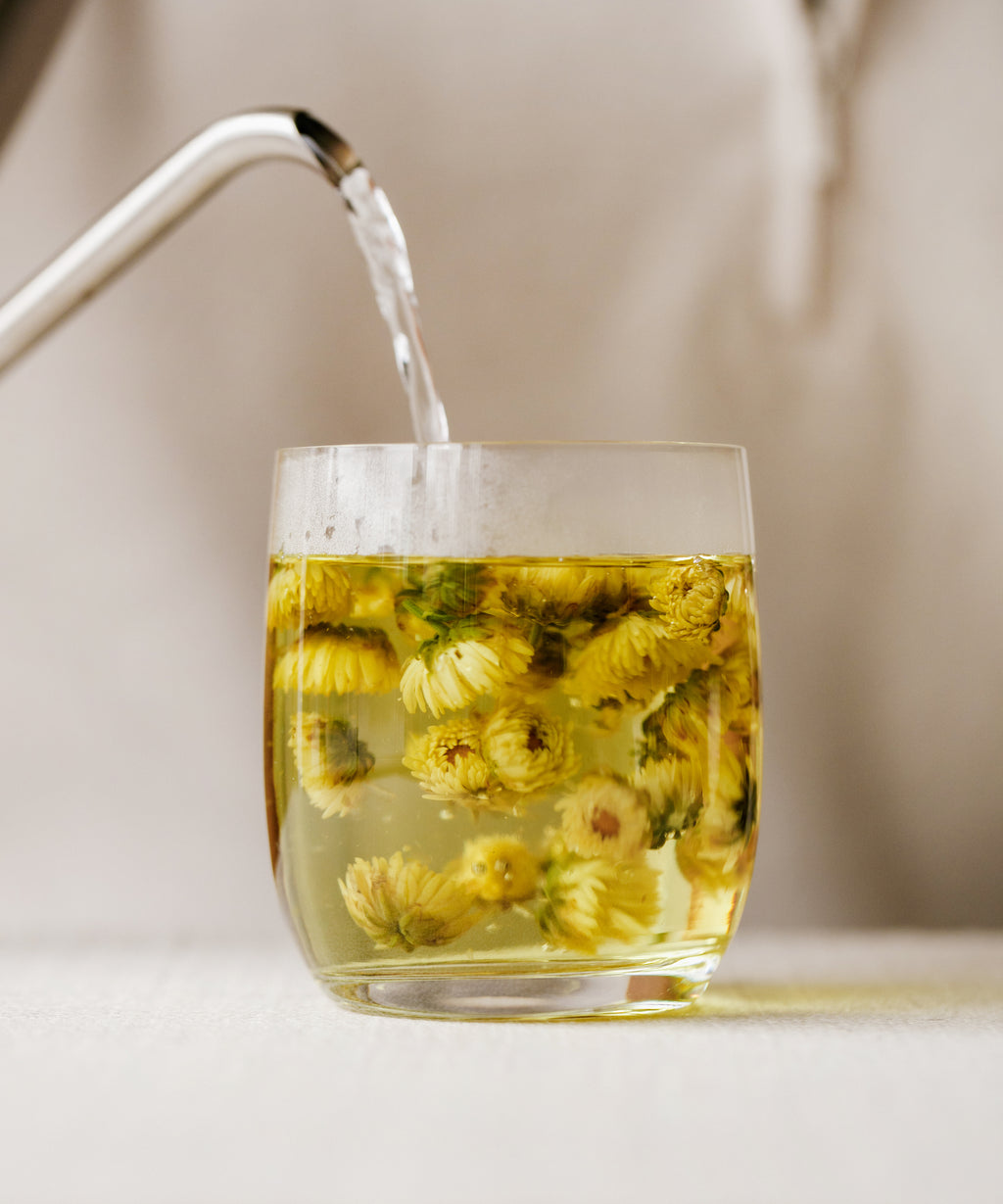 Brewing Silk Chrysanthemum Bud — Hangbai chrysanthemum tisane, Tongxiang, Zhejiang