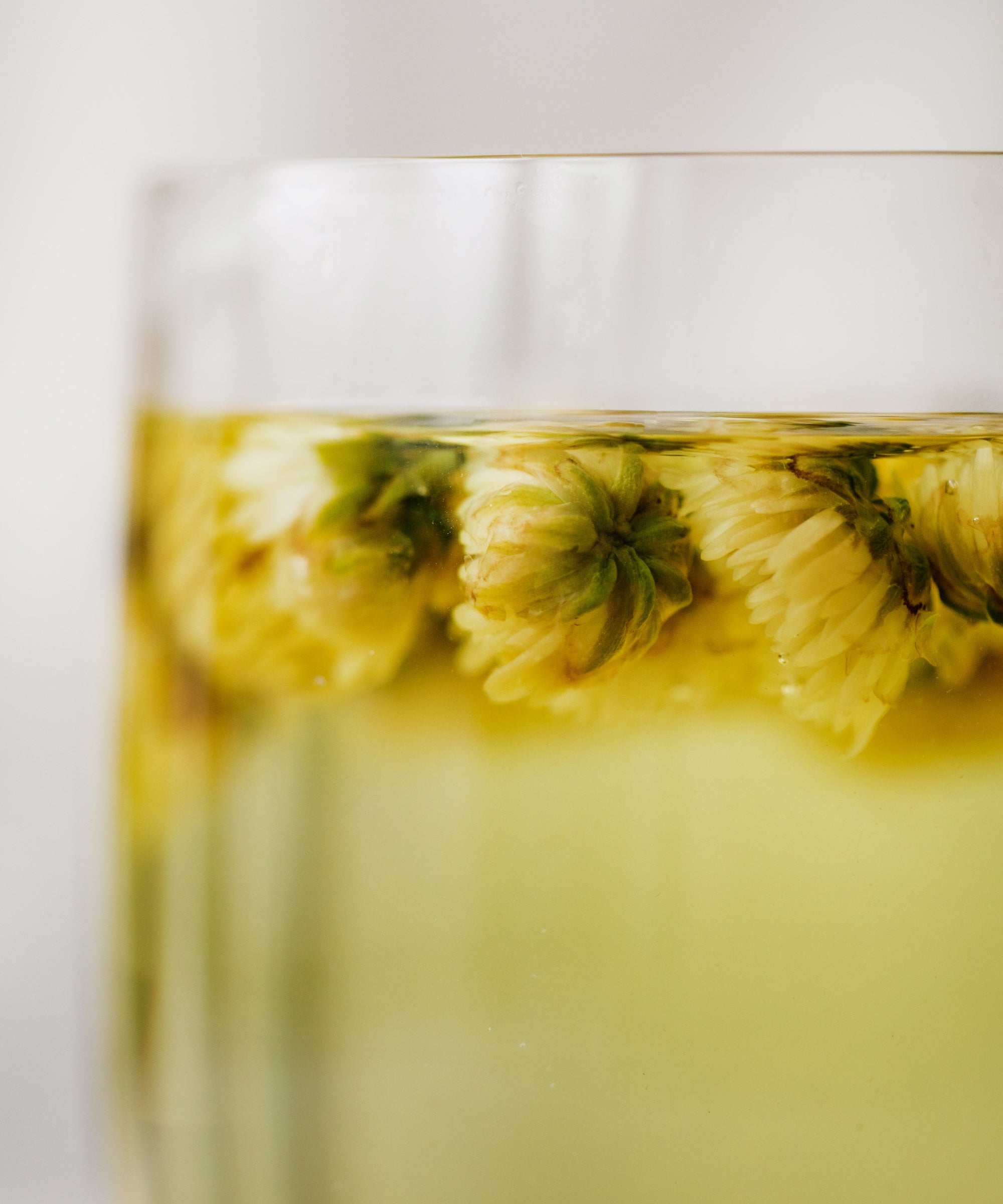 Silk Chrysanthemum Bud liquor — vibrant, medicinal chrysanthemum with dusty sweetness, Tongxiang