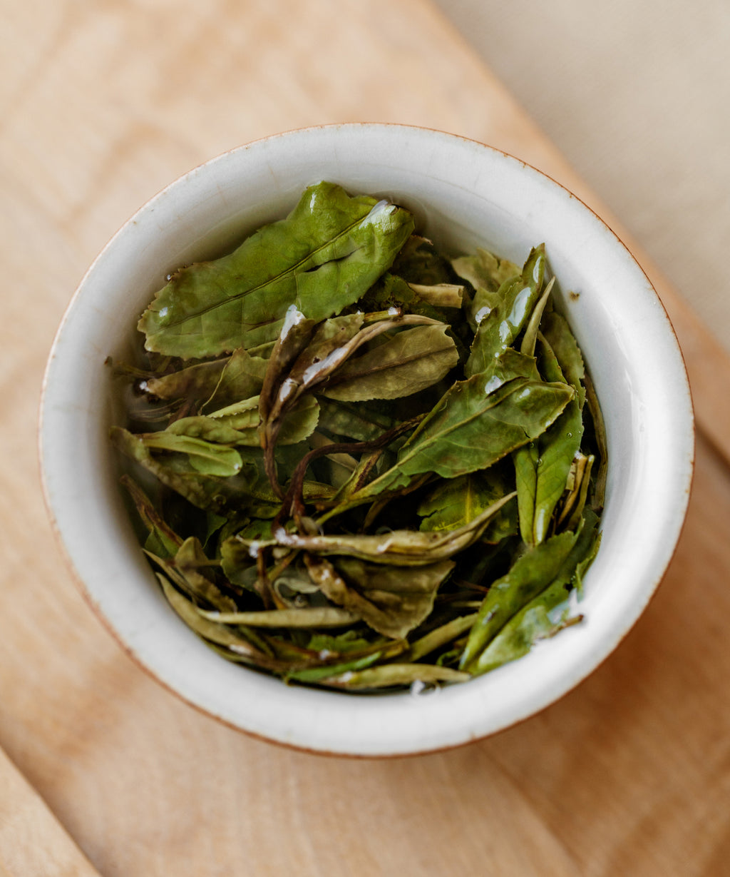 Ms. Qiong's Heritage White wet leaves — heirloom varietal white tea, Fu'an, Fujian