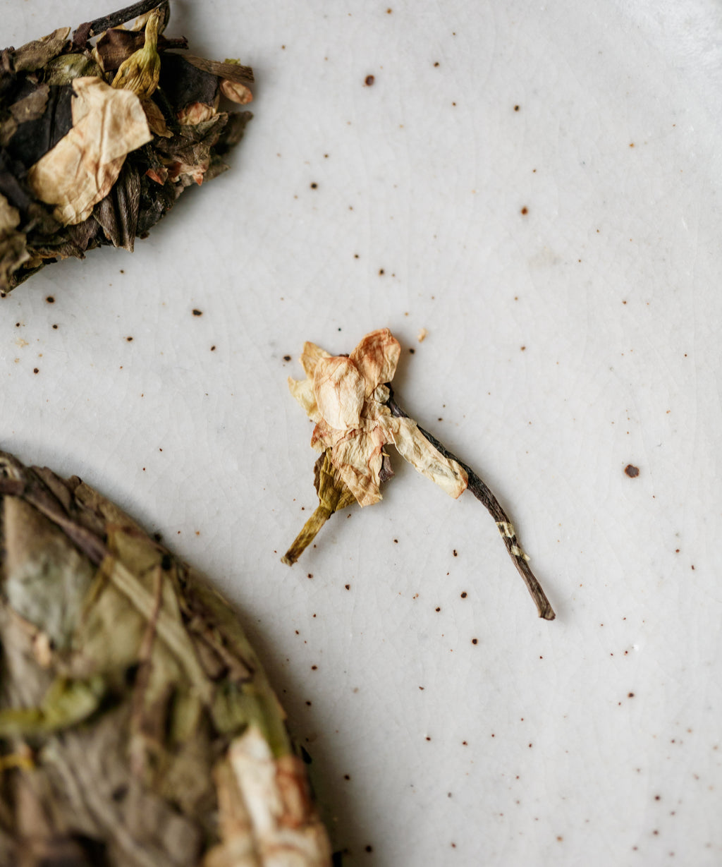 Jasmine Wild White brewed liquor — semi-wild white tea from 3600 ft old growth forest, Zhenghe