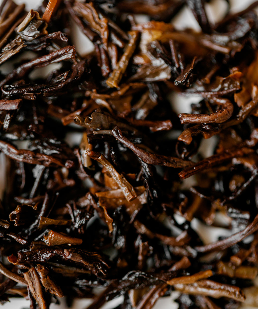 Two-years Cave-aged Liubao dark tea — cave-aged 2 years from Liu Bao, Wuzhou, Guangxi