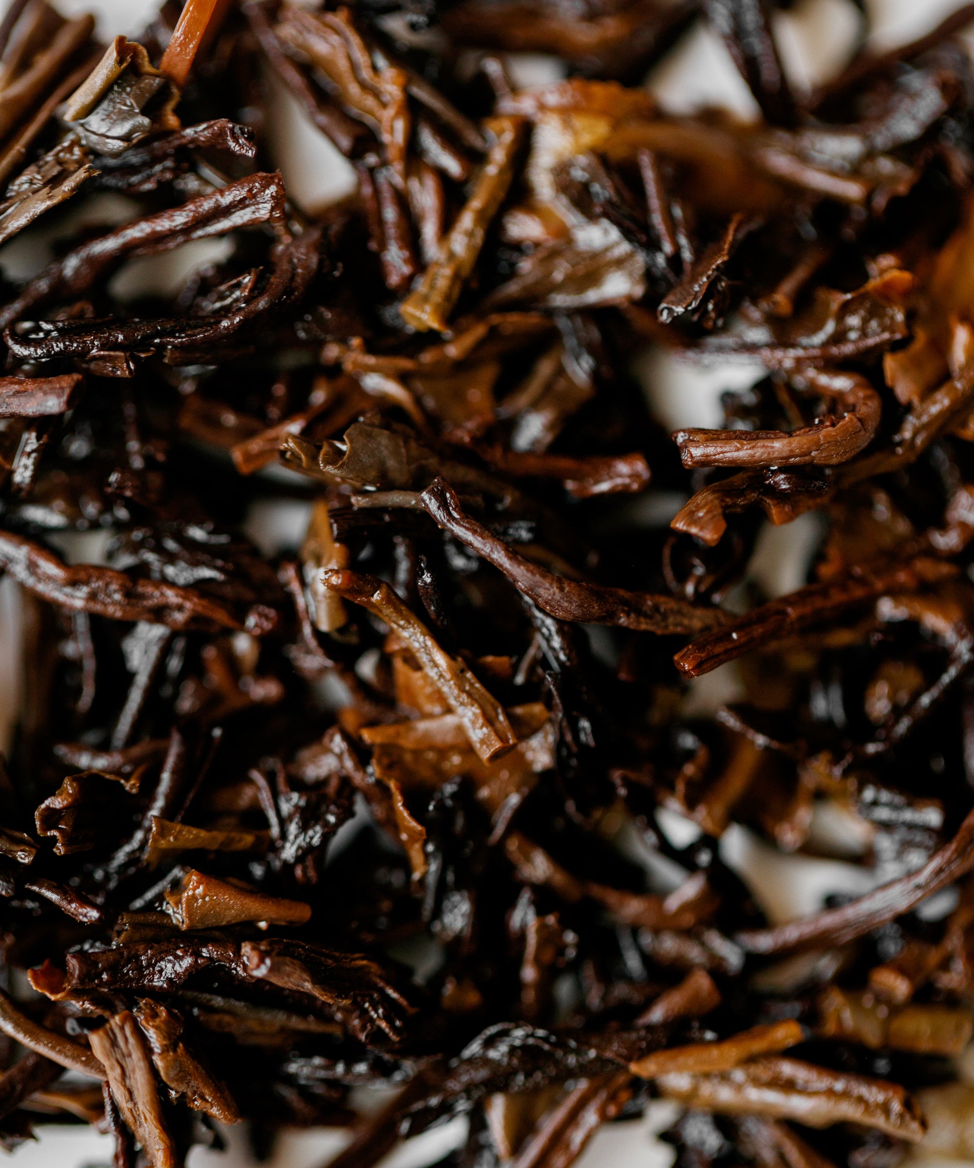 Two-years Cave-aged Liubao dark tea — cave-aged 2 years from Liu Bao, Wuzhou, Guangxi