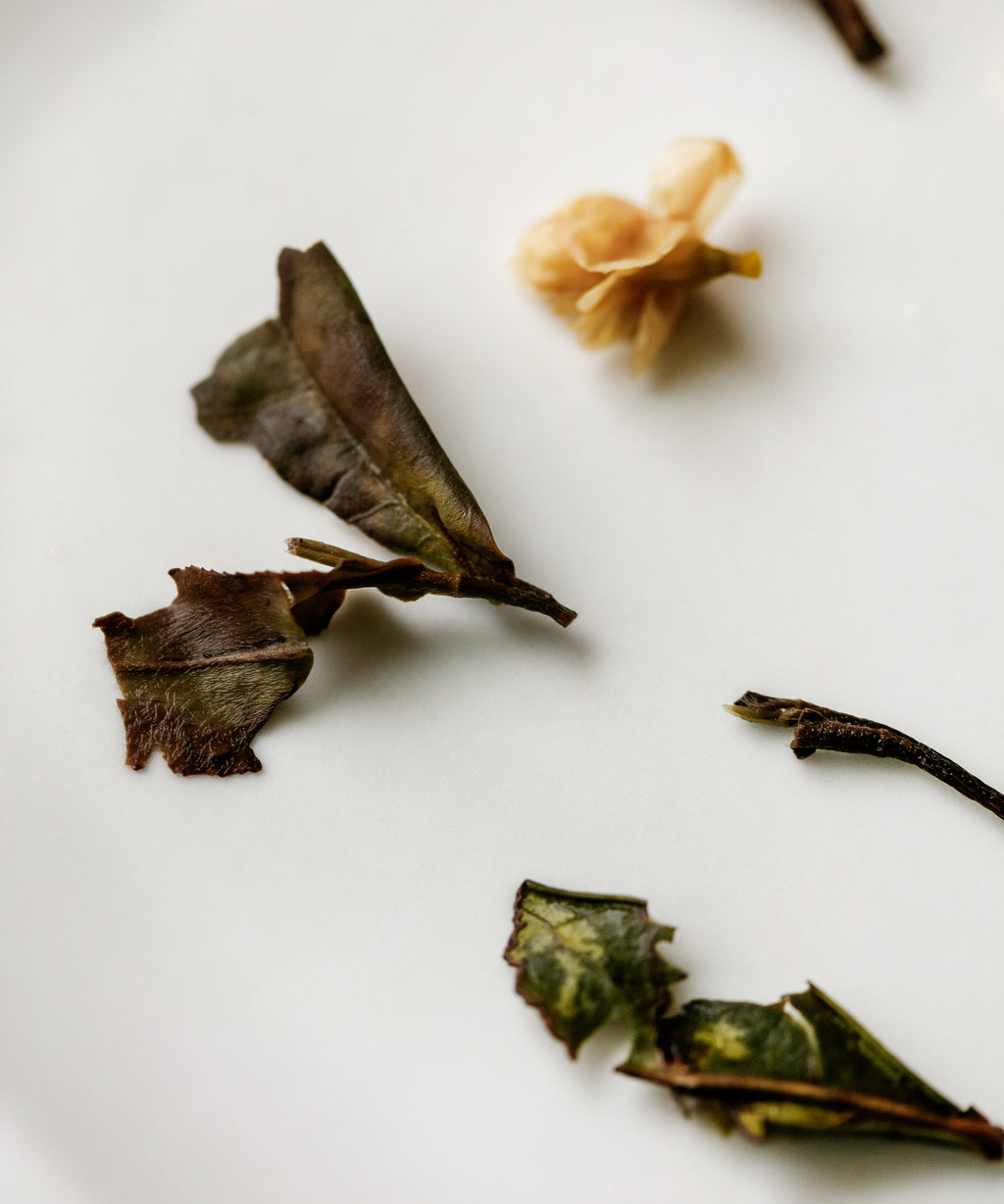 Jasmine Wild White dry cake detail — sun-dried Zhenghe Dabai shou mei and jasmine from misty mountains