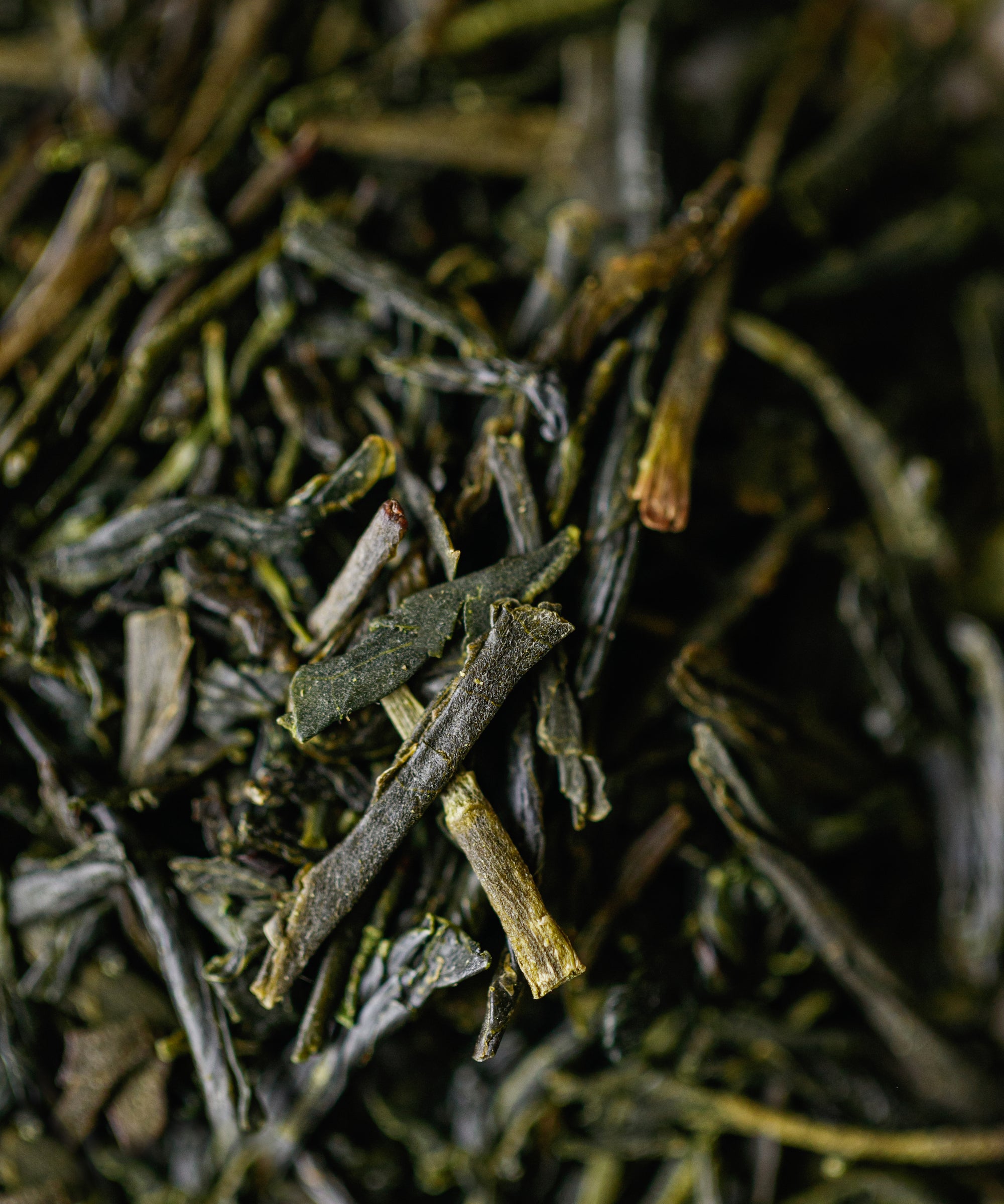 First Harvest Sencha Toga Higashitsuno — sencha near Shimanto River, Kochi, Shikoku