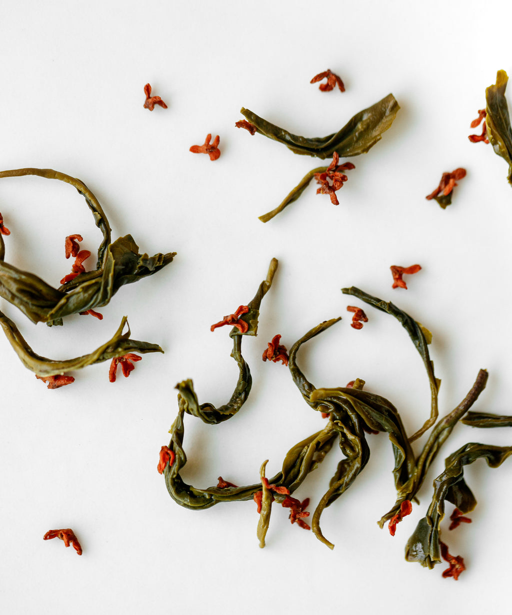 Osmanthus Laoshan Green