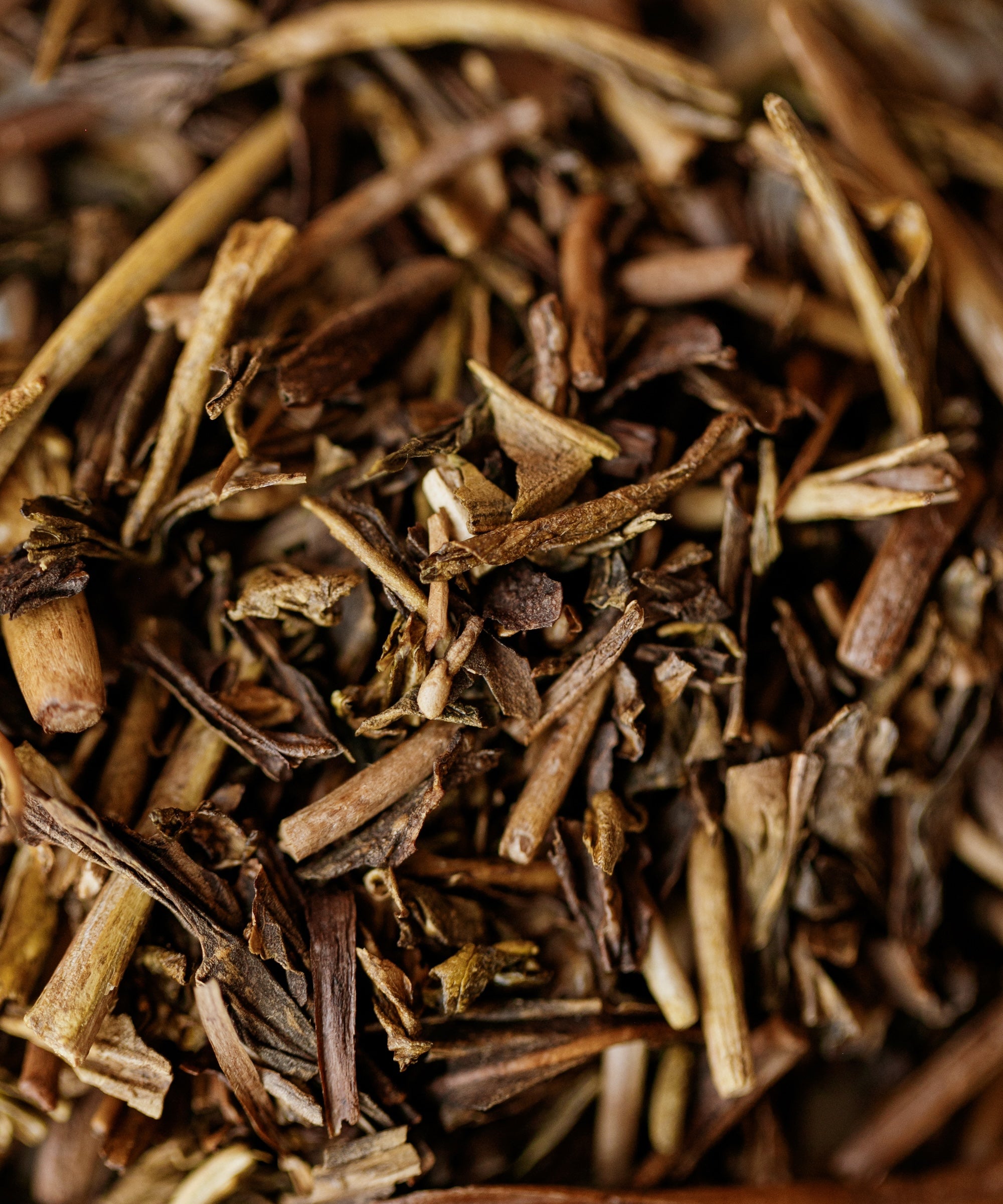 Close-up of Noma Koshun dry hojicha showing lightly roasted stems and leaves