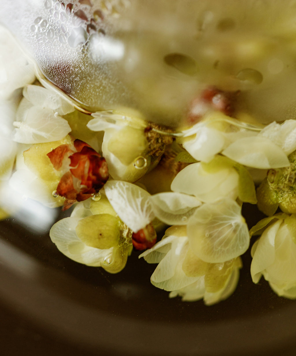 Plum blossoms blooming in a glass gaiwan during the first infusion