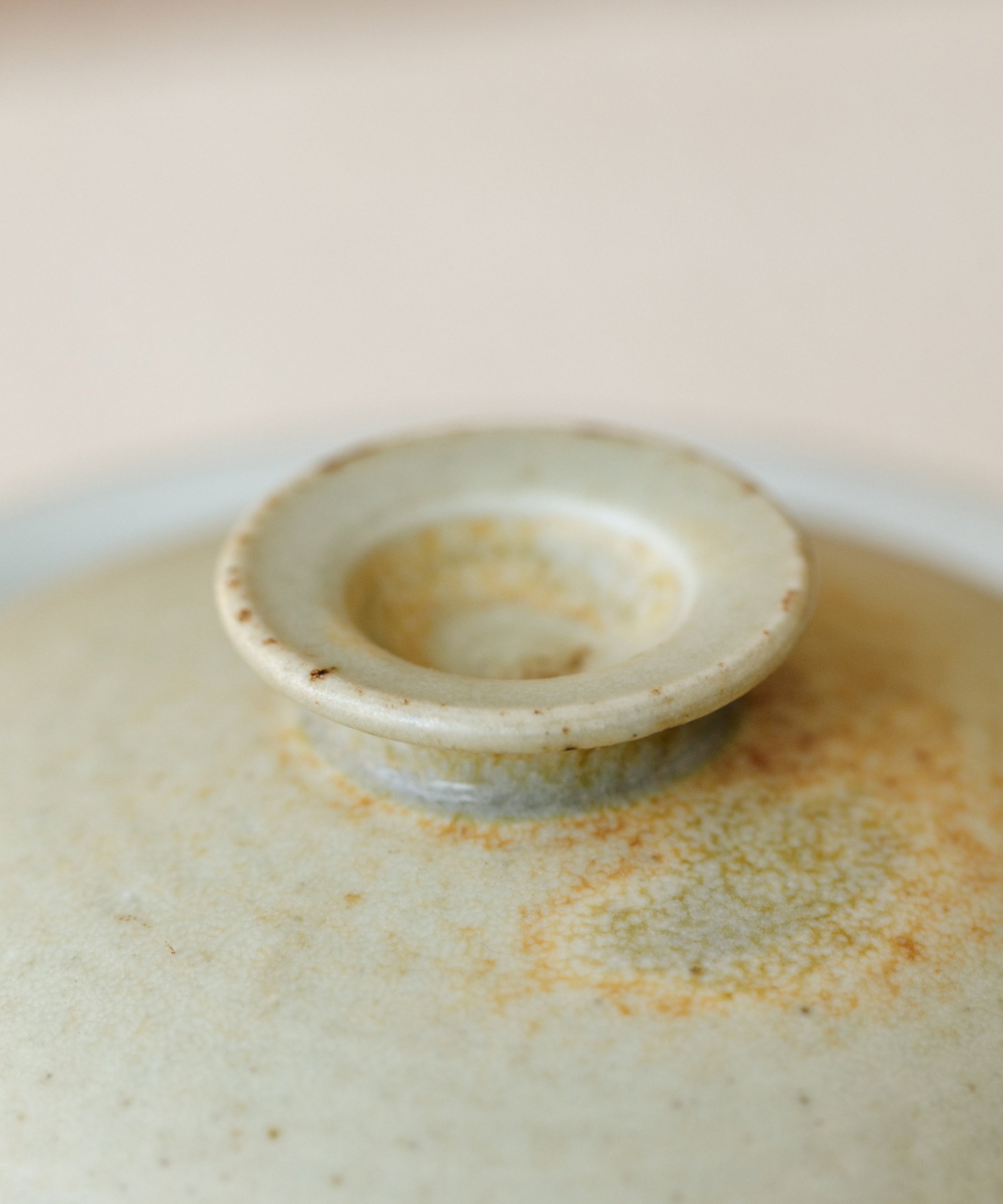 Pastel Yellow II Gaiwan