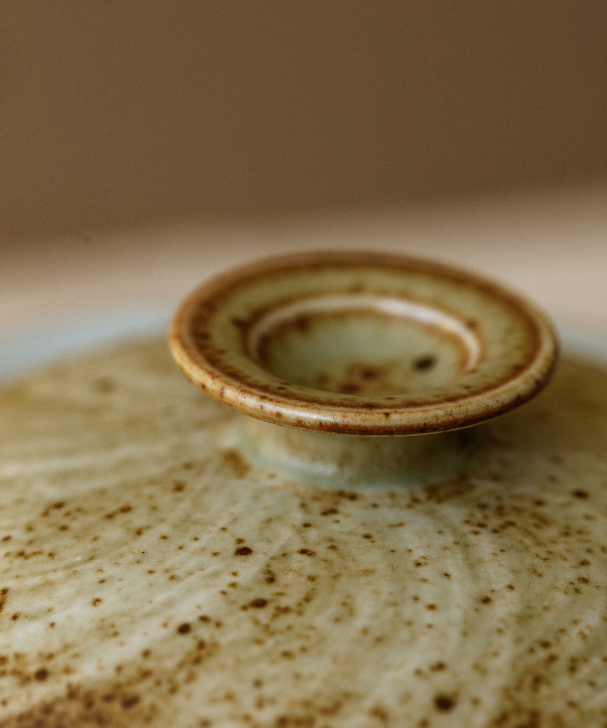 Seashell Gaiwan