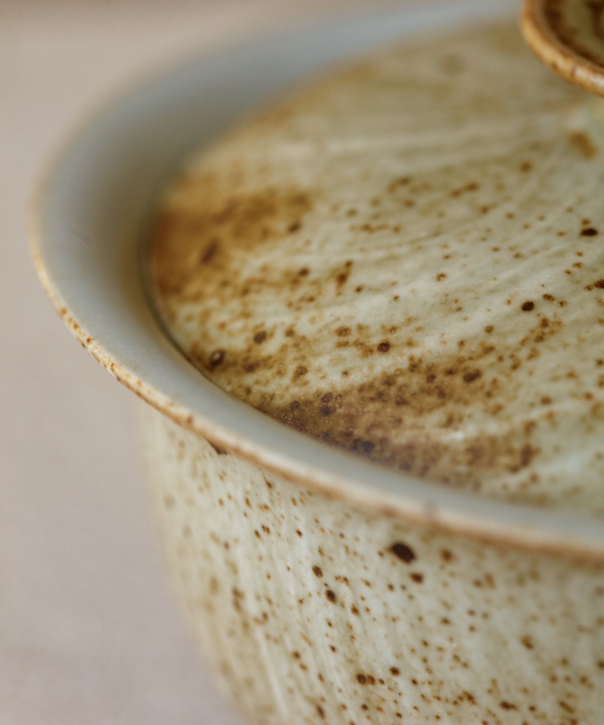 Seashell Gaiwan