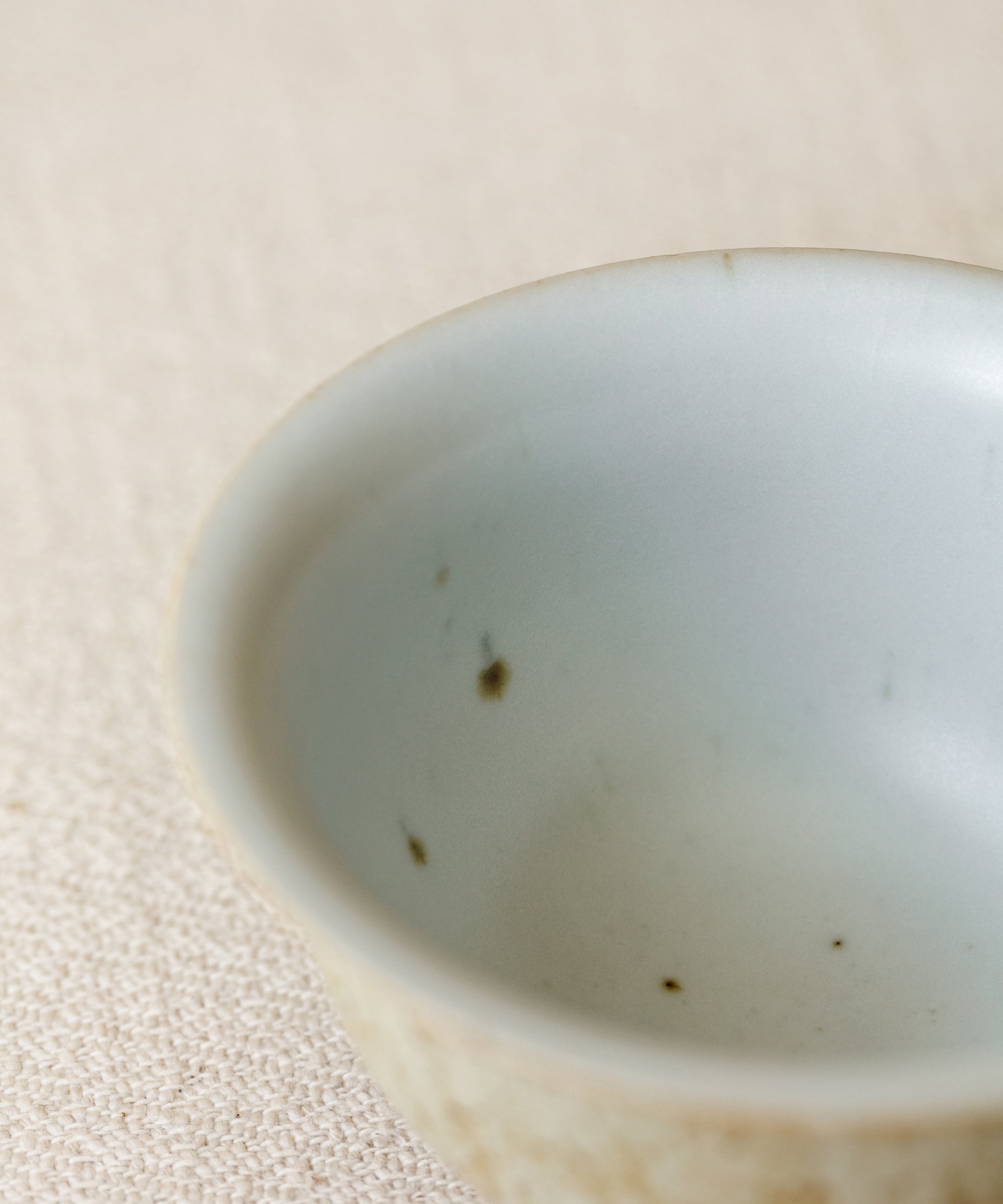Seashell Gaiwan