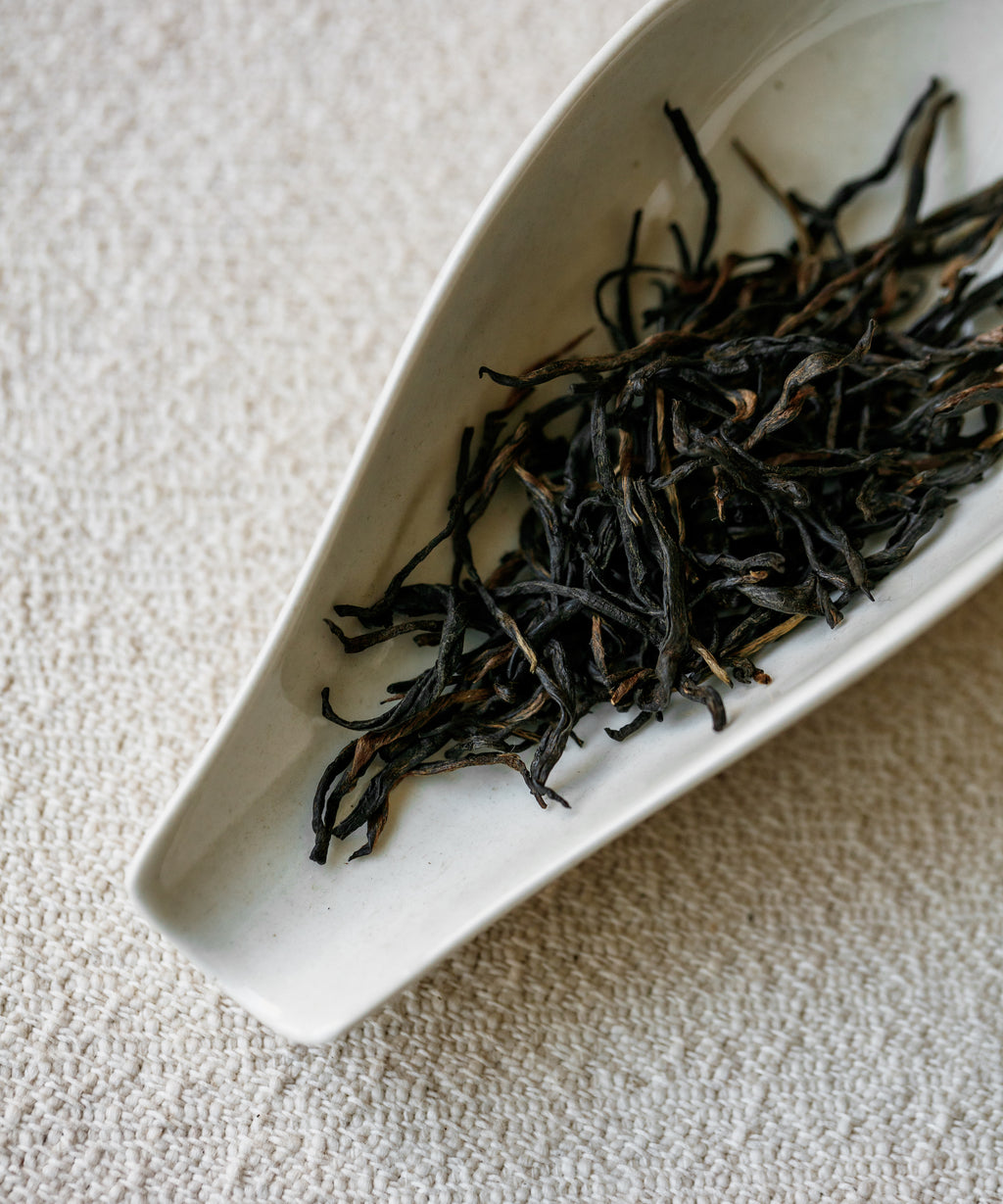 Meizhan Black dry leaves — Wuyi Meizhan varietal transplanted to Fengqing, Yunnan