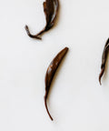 Meizhan Black — Meizhan varietal black tea from Fengqing, Yunnan with honeyed scent and ripe fruit