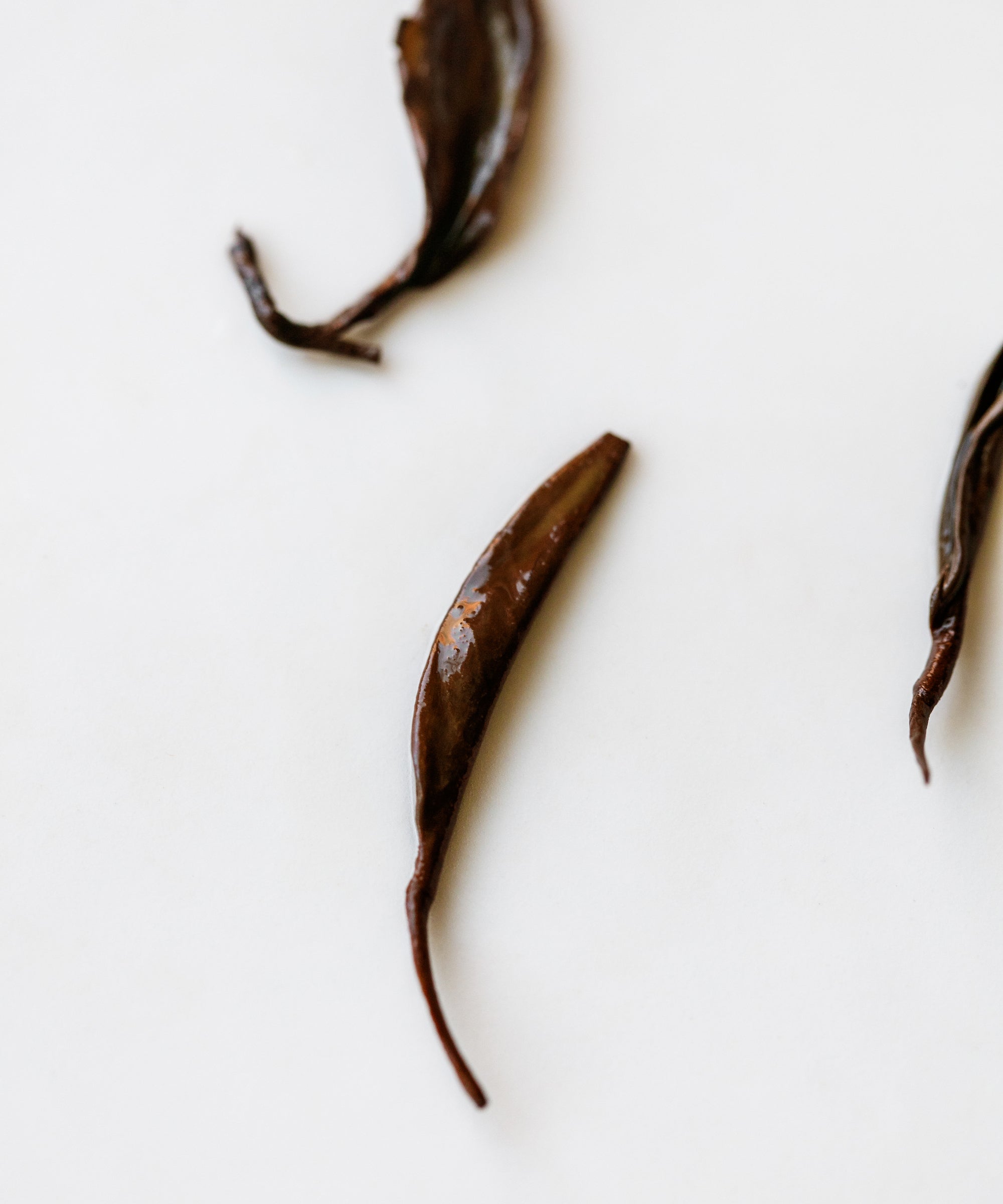 Meizhan Black — Meizhan varietal black tea from Fengqing, Yunnan with honeyed scent and ripe fruit