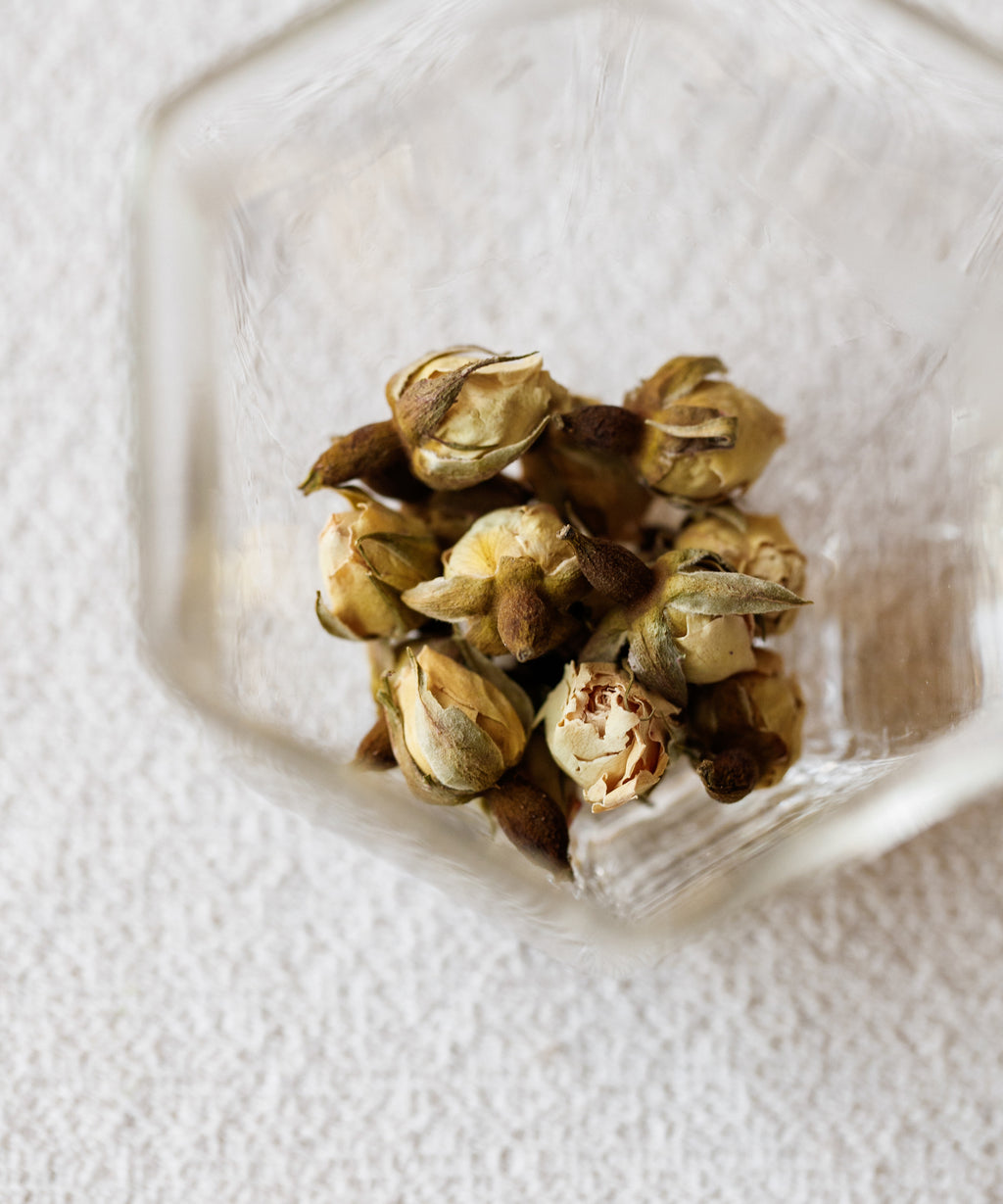 Brewing Snow Rose — white rose bud tisane with golden liquor, Suqian, Jiangsu
