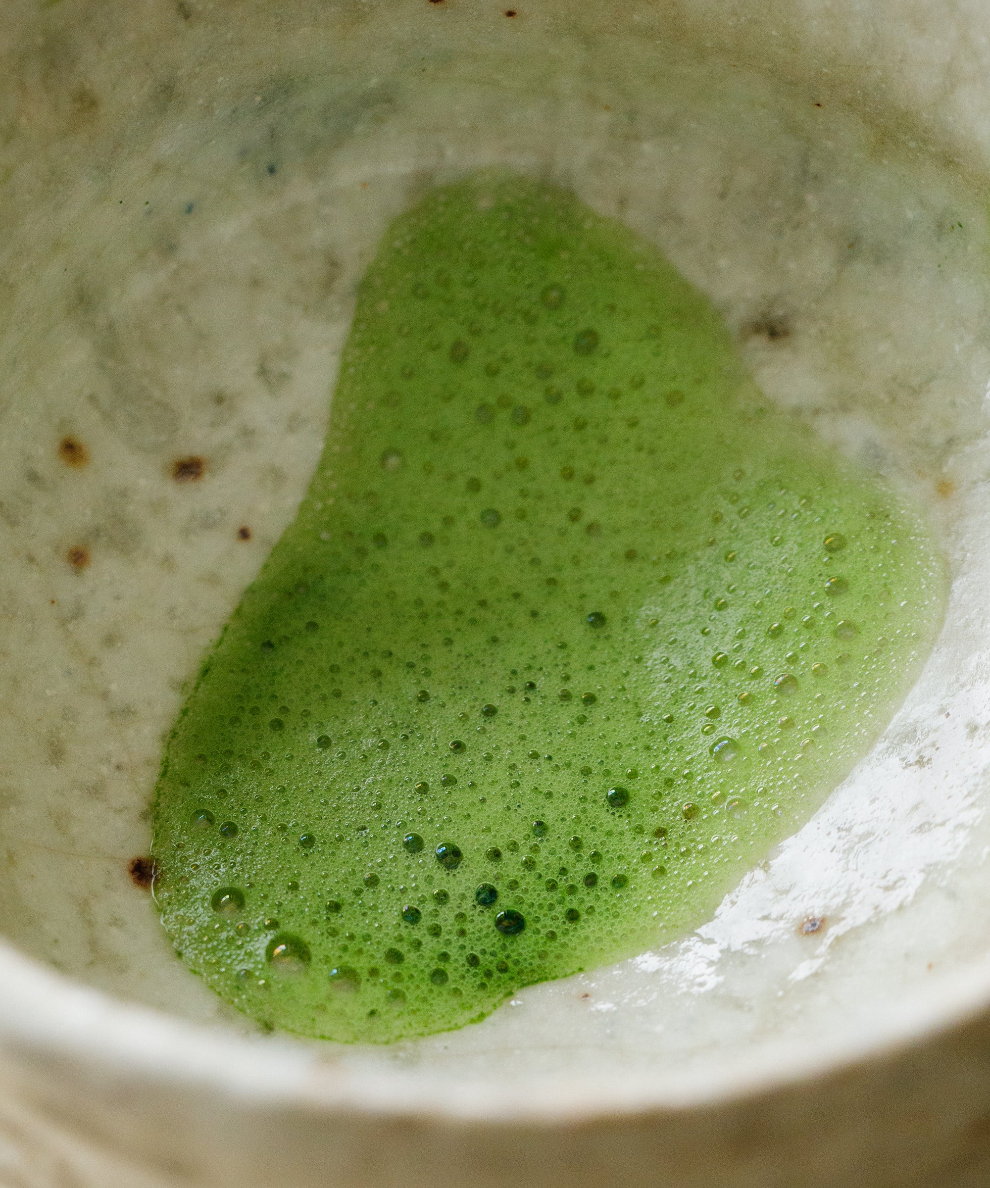 Matcha Kotobuki tin by Cultivate Tea — Arita Sansuien's top grade ceremonial matcha, Uji, Kyoto, first harvest 2025