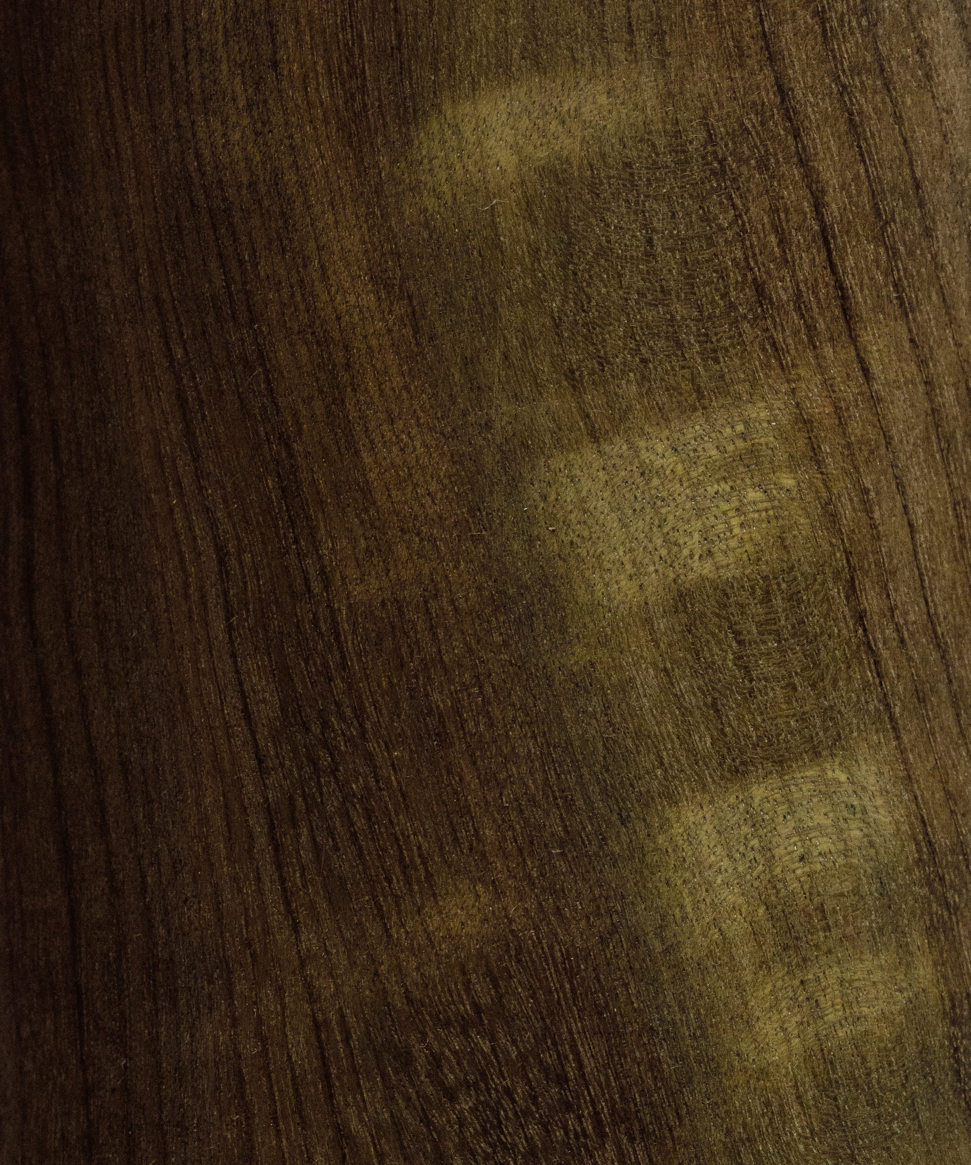 Rare Nanmu Wood Tea Scoop Two