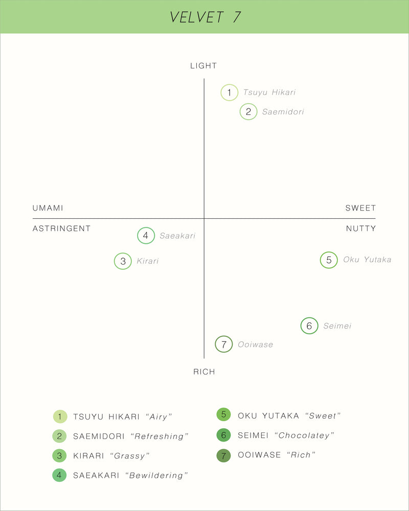Matcha Velvet 7 Tasting Flight