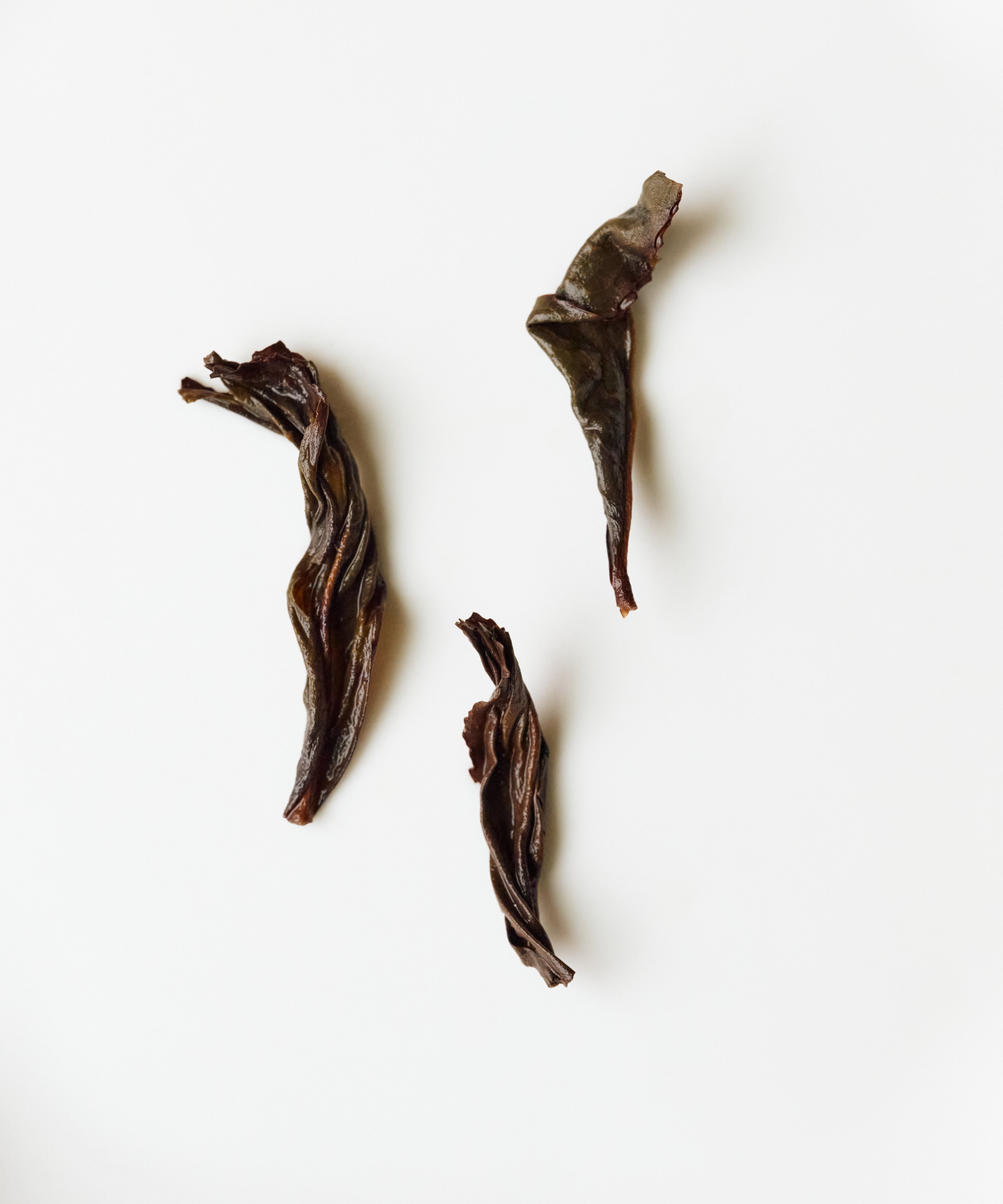 Charcoal Roasted Buddha's Hand from Yinshi Mountain — Mr. Liu's old grove Yongchun oolong with smoky floral notes