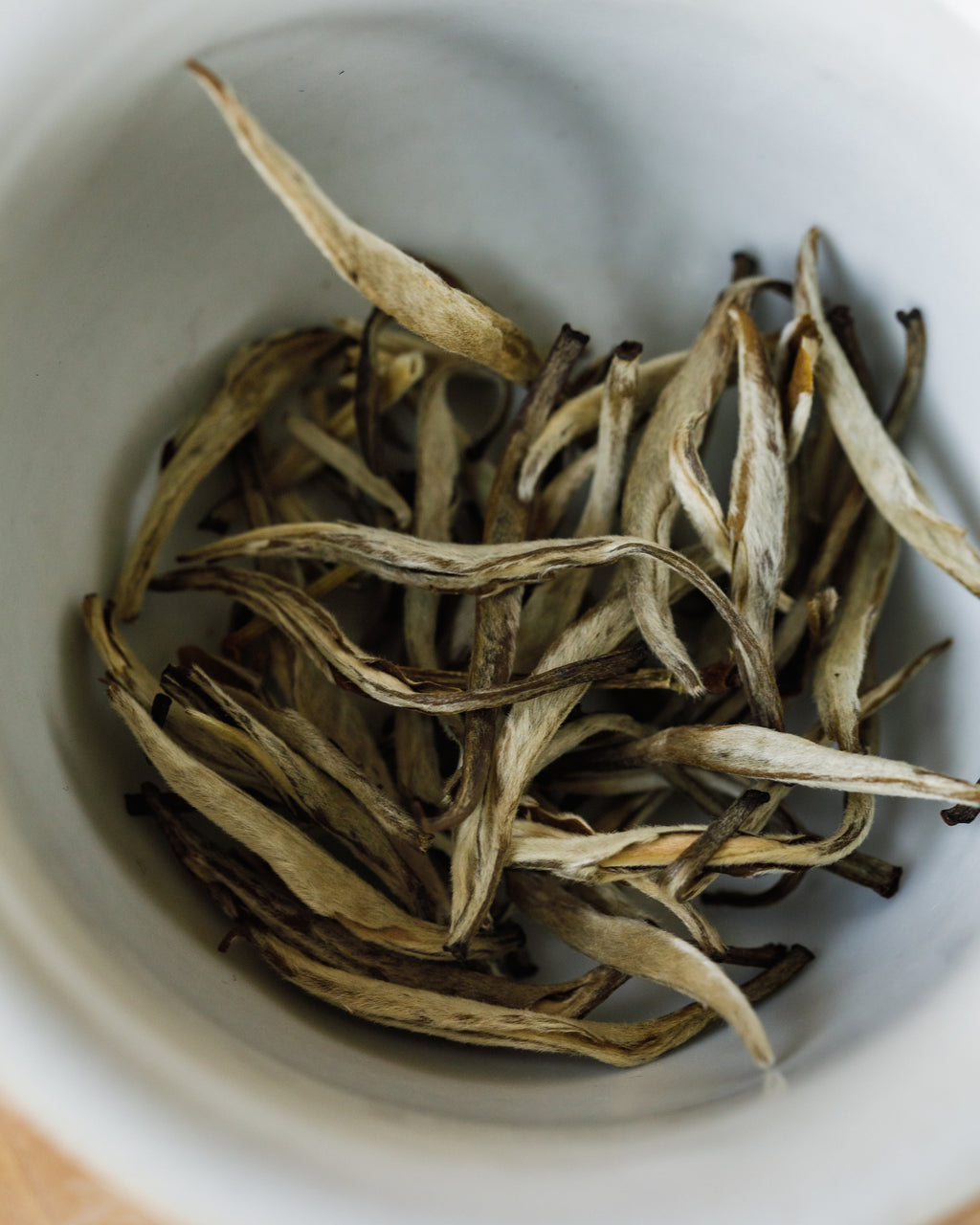 Hot water poured over Jasmine Silver Tips in a porcelain gaiwan