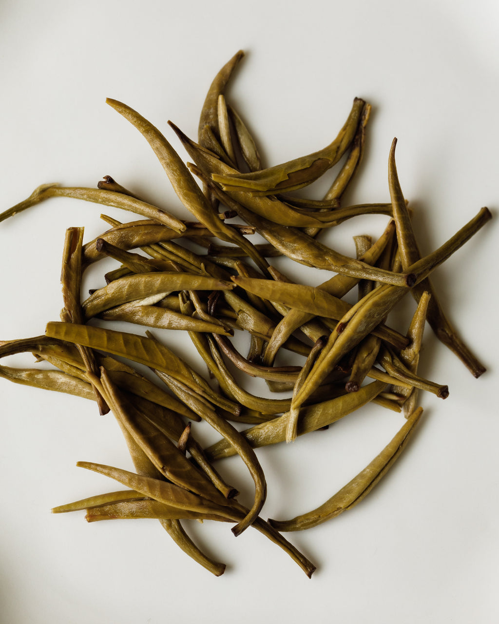 Wet Jasmine Silver Tips leaves after brewing, showing the silver tip buds expanded