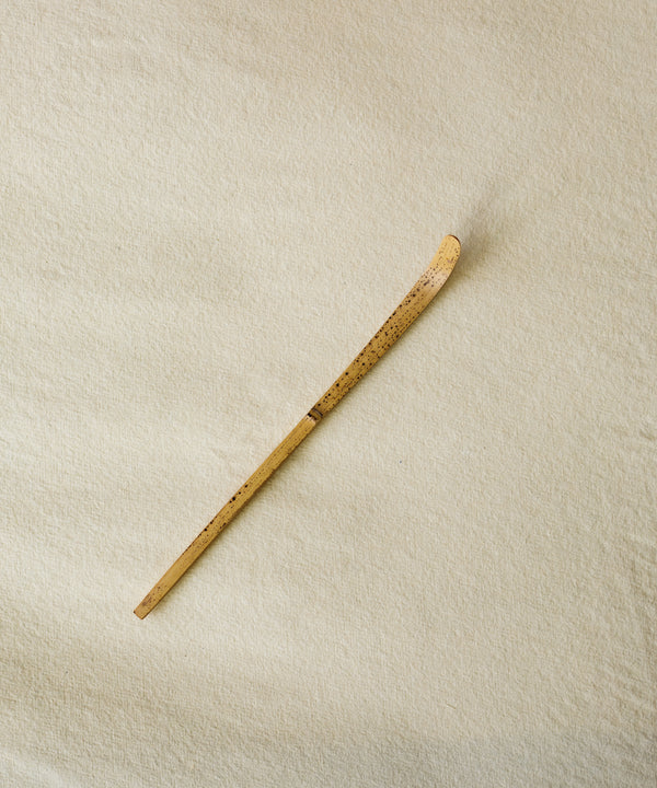 Chashaku Matcha Scoop Spotted Bamboo
