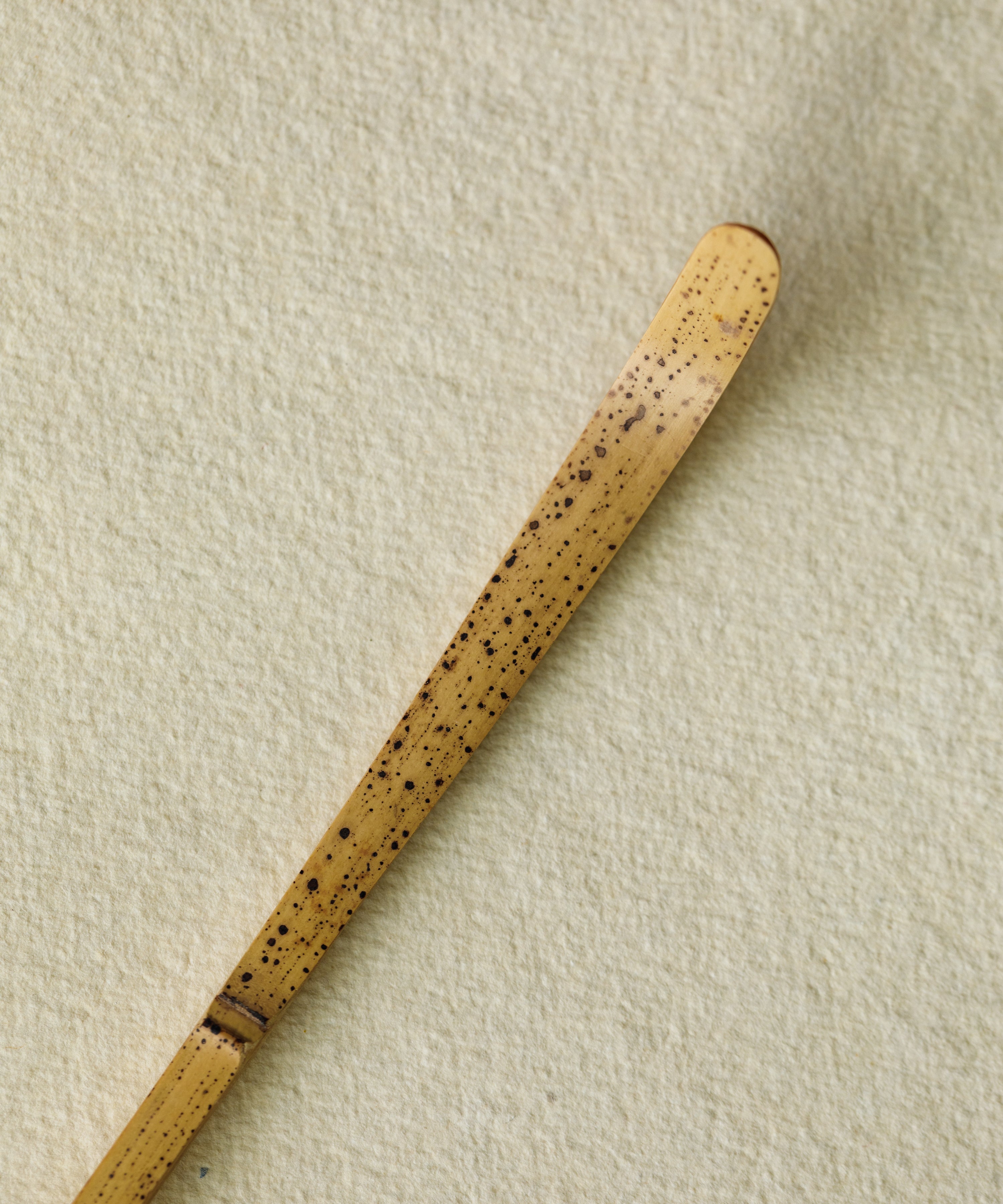 Chashaku Matcha Scoop Spotted Bamboo