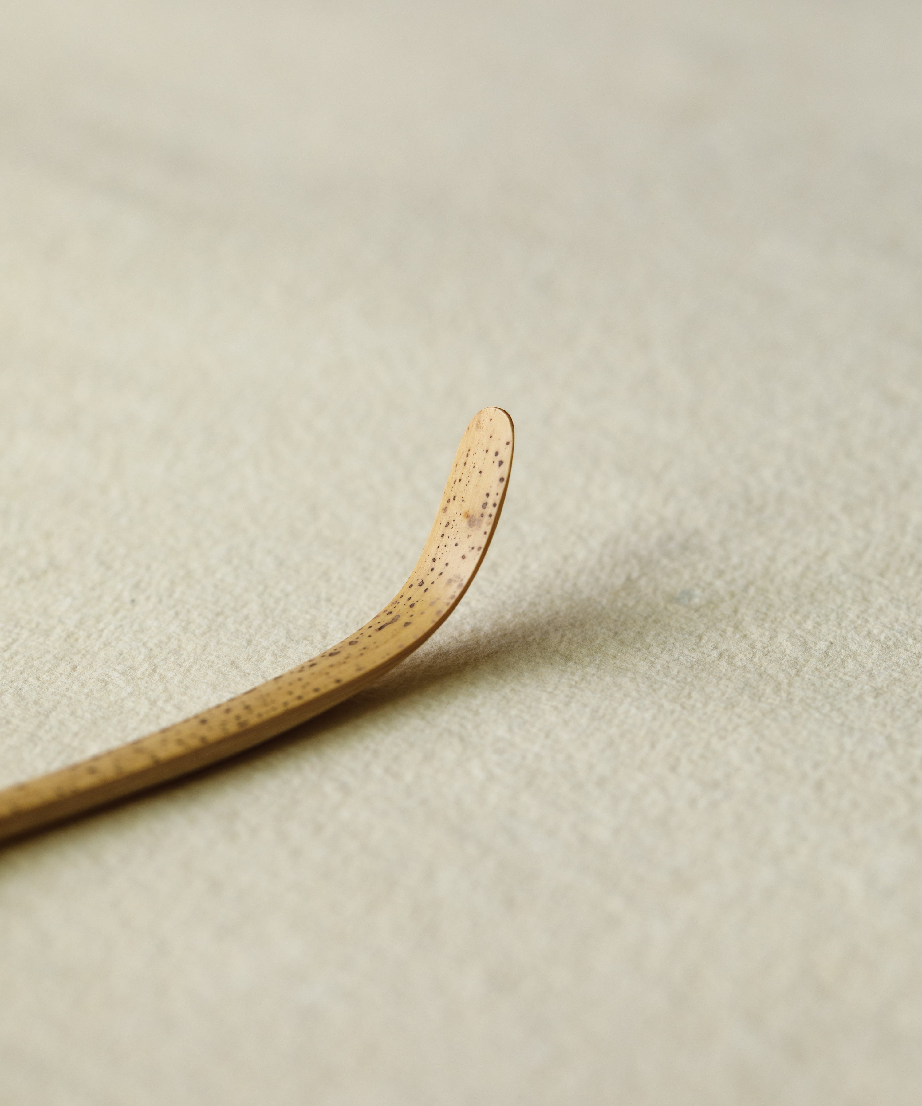 Chashaku Matcha Scoop Spotted Bamboo