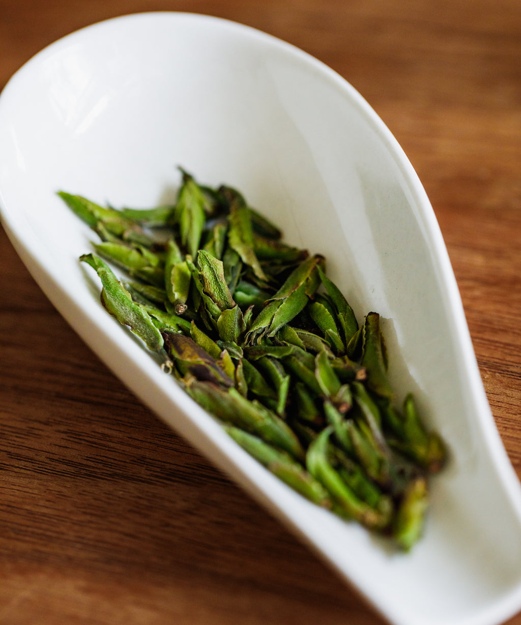 Daxueshan wild pu'erh shoots on white dish — dense buds from ancient trees at 8200 ft on Big Snow Mountain