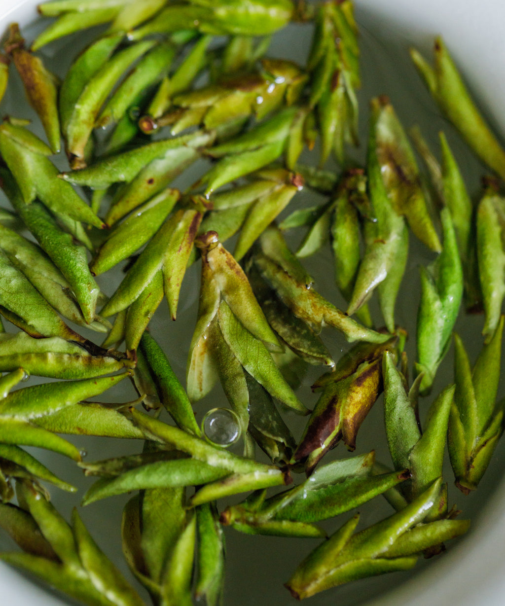 Daxueshan Wild Pu'erh Shoots clear liquor — acacia honey, lychee, and dissolved sugar notes from ancient trees
