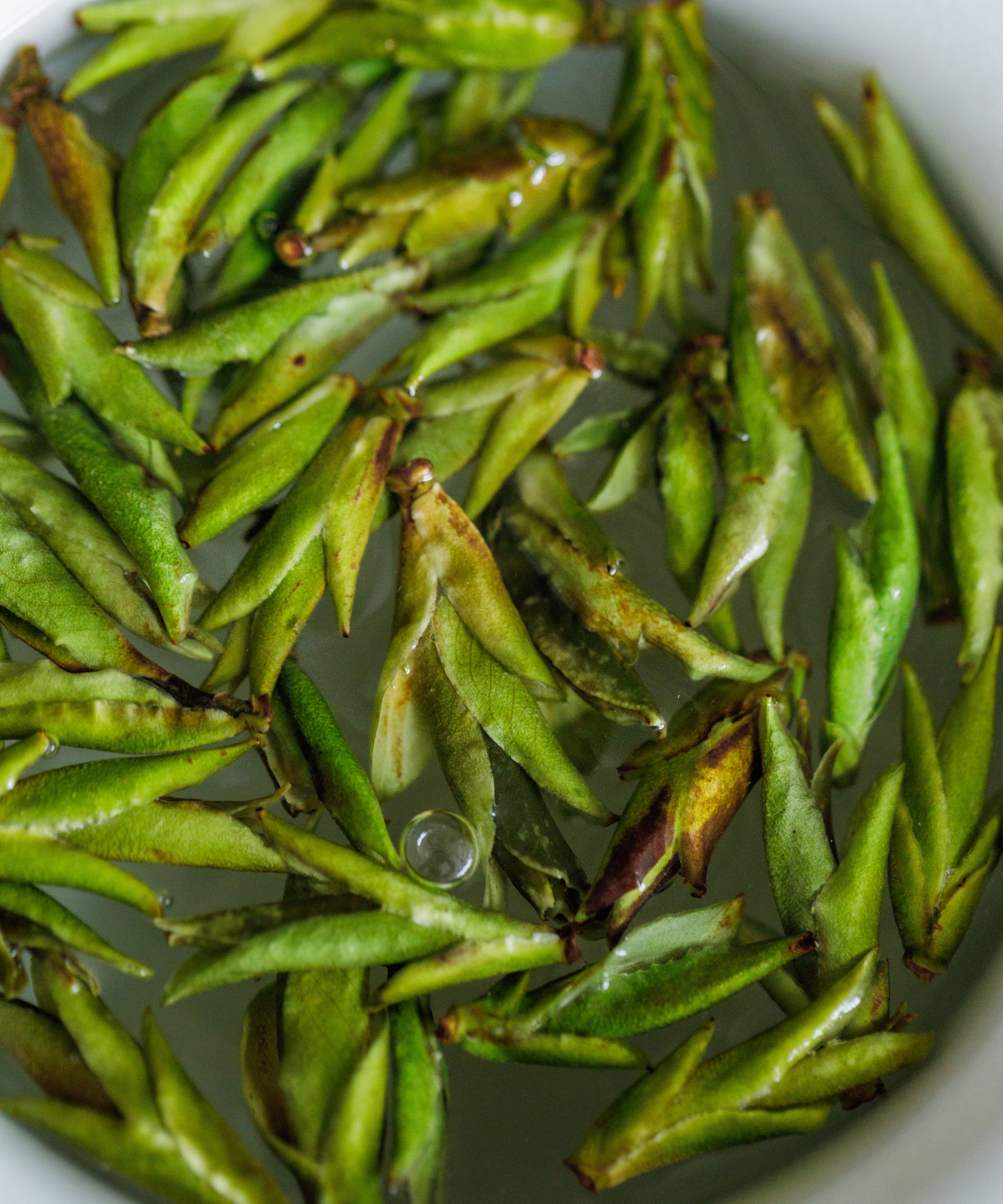 Daxueshan Wild Pu'erh Shoots clear liquor — acacia honey, lychee, and dissolved sugar notes from ancient trees