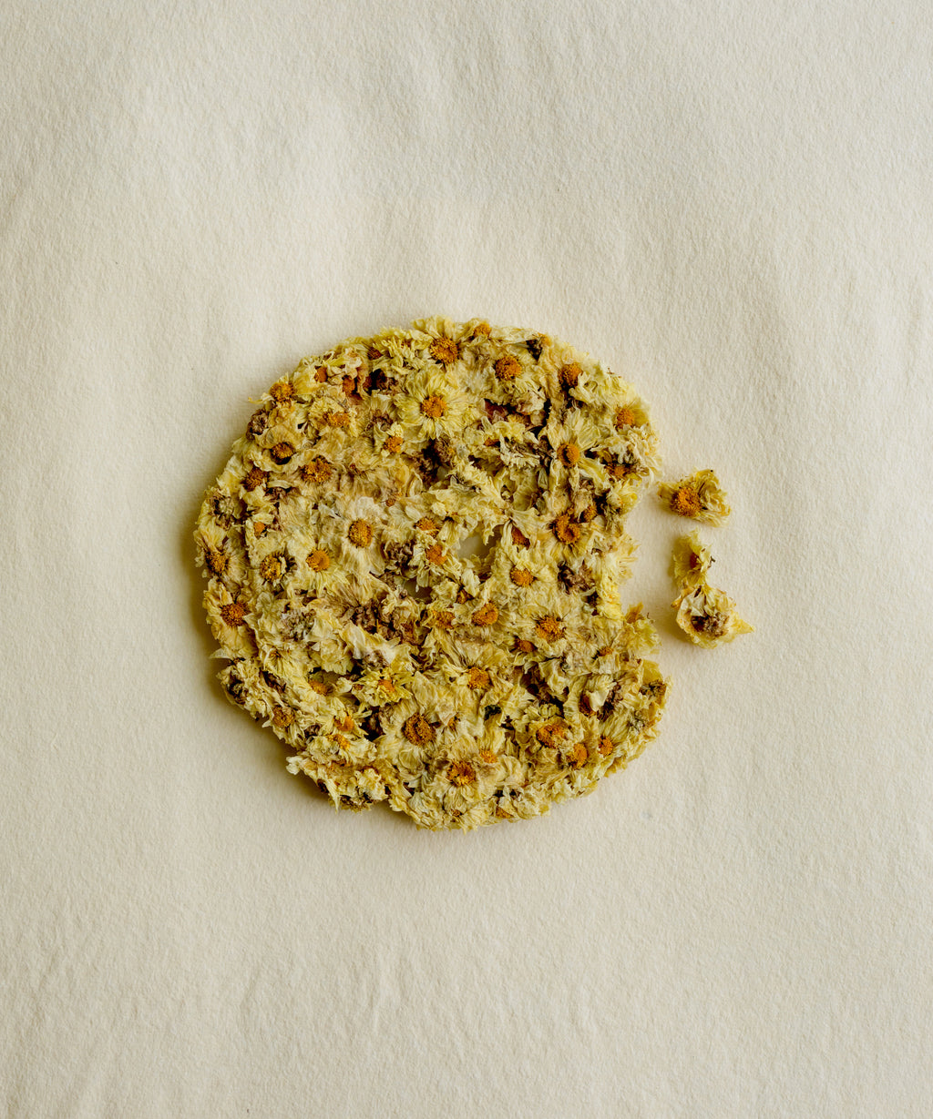 Silk Chrysanthemum Cake, pressed flower tea from Tongxiang, Zhejiang, with citrusy medicinal notes