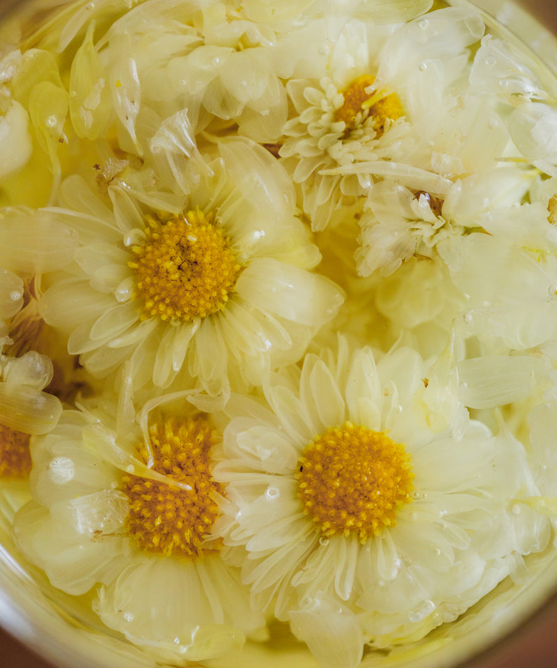 Silk Chrysanthemum Cake