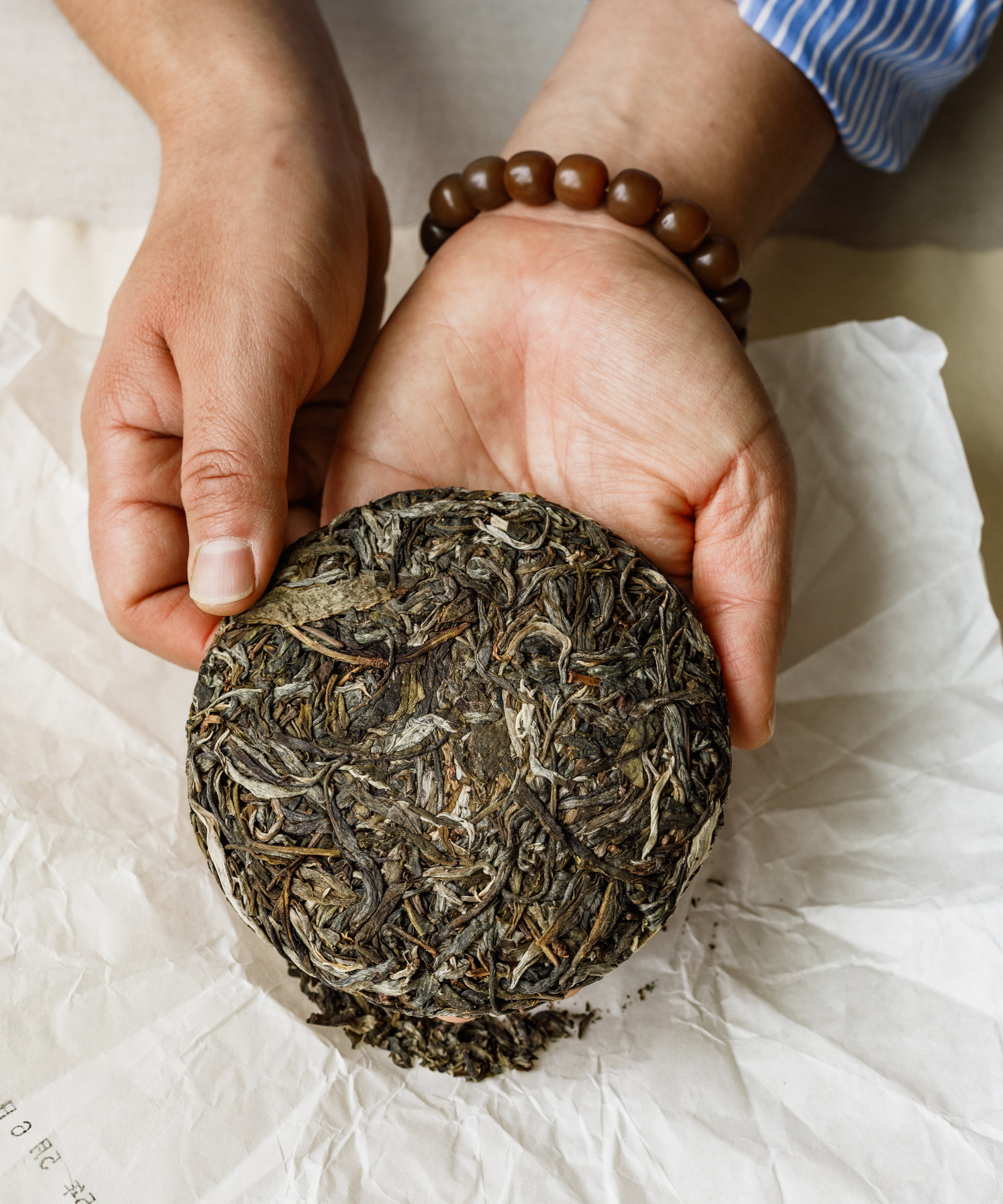 Hands holding the Pine & Moon pressed sheng pu'erh cake for scale
