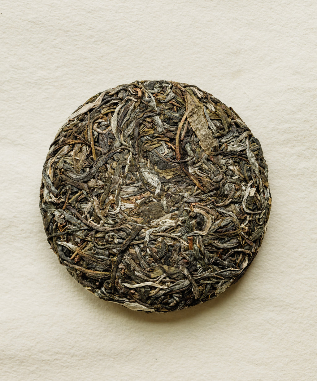 Pine & Moon pressed sheng pu'erh cake on white paper, top view